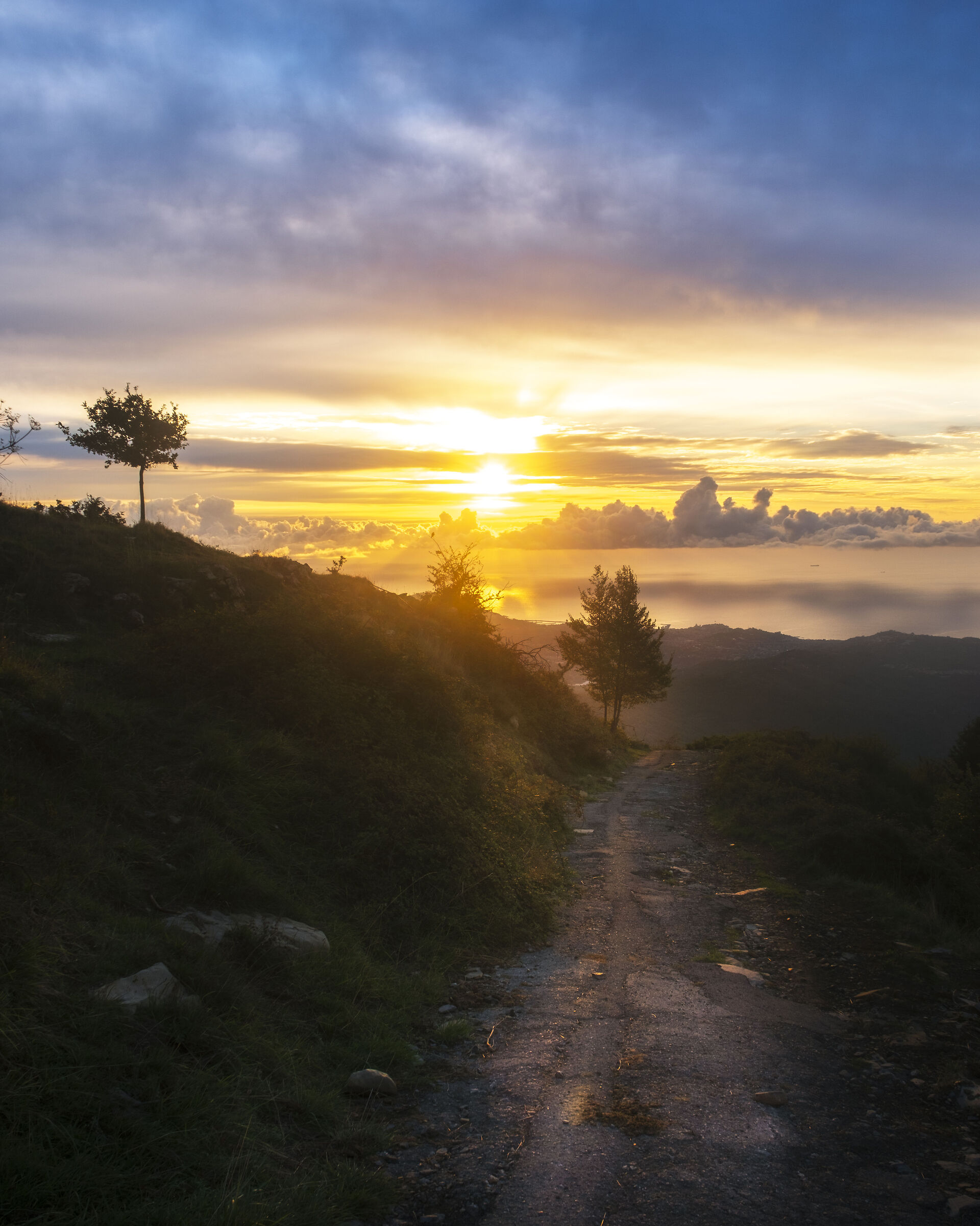 Light the way for me