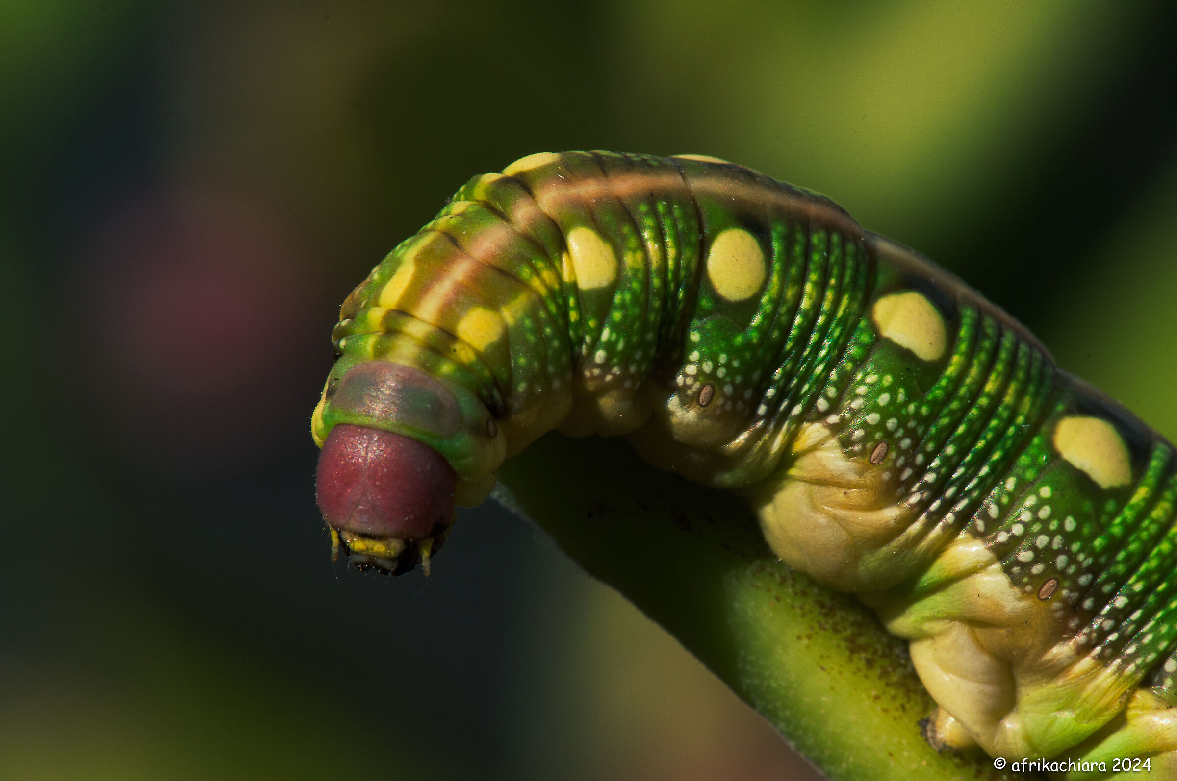 Curiosity or fear of emptiness?!