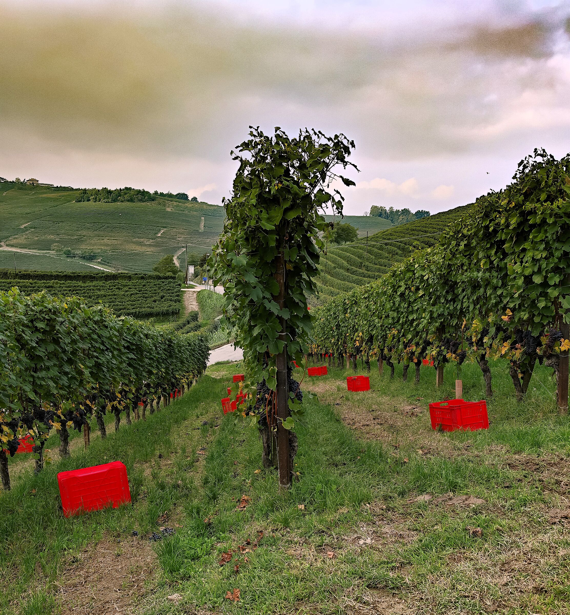 A moment before the party begins