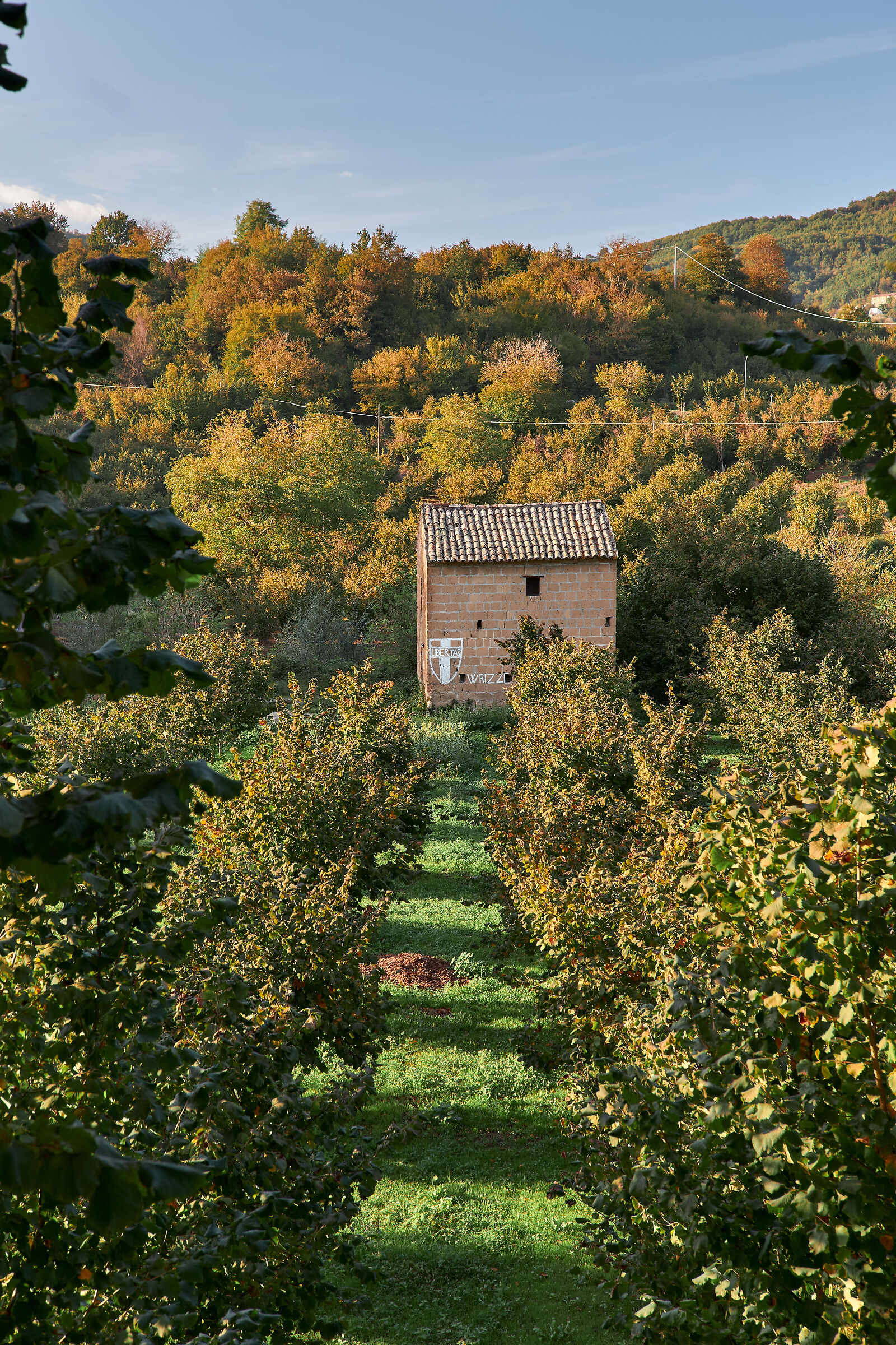 Irpinia: hazelnuts and Christian Democracy