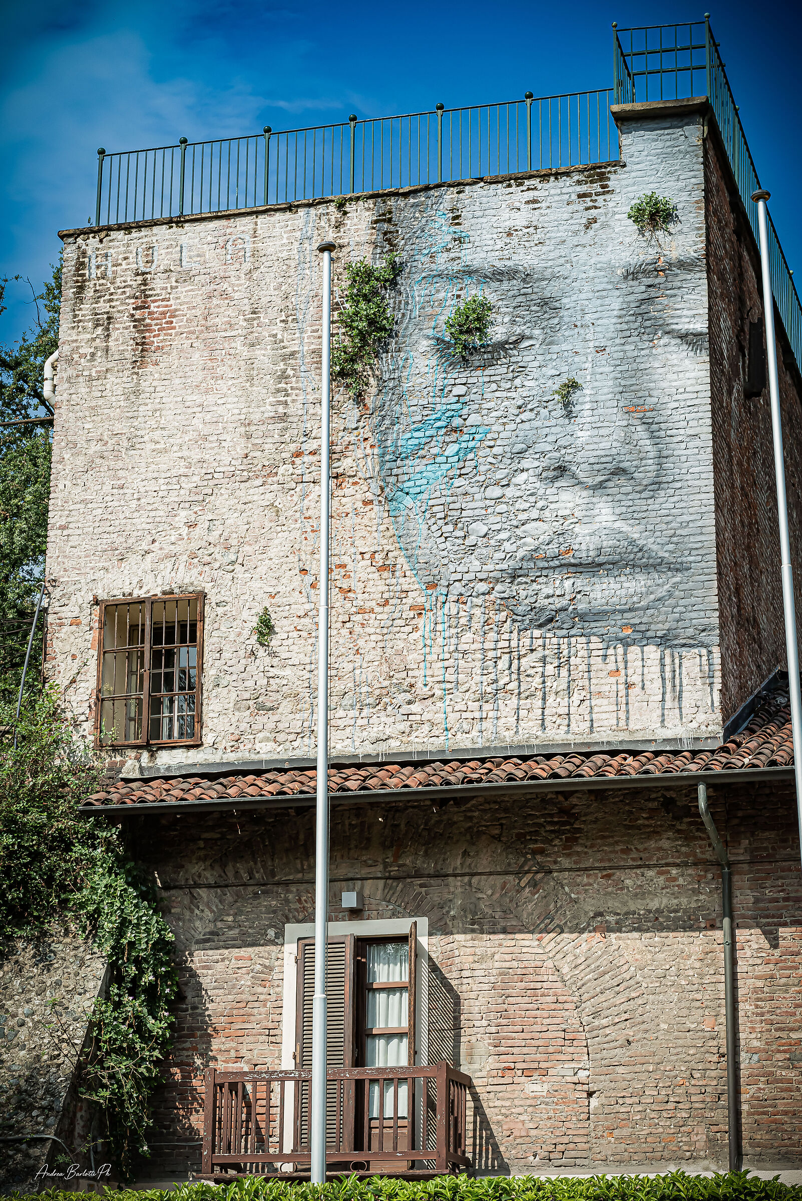 Murals