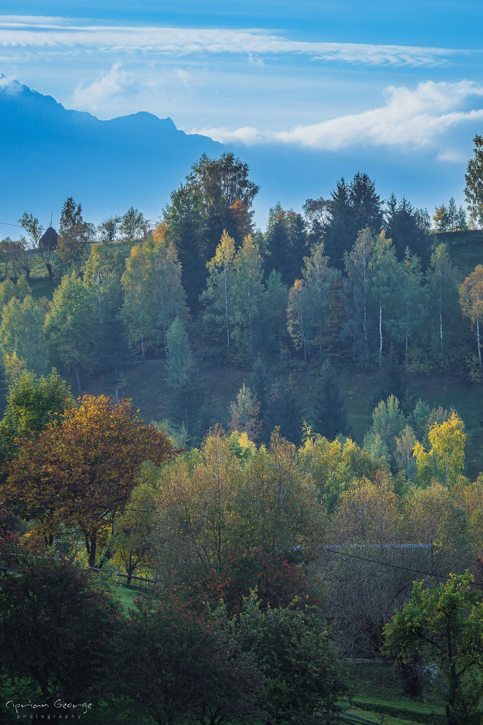 Luce fredda di ottobre