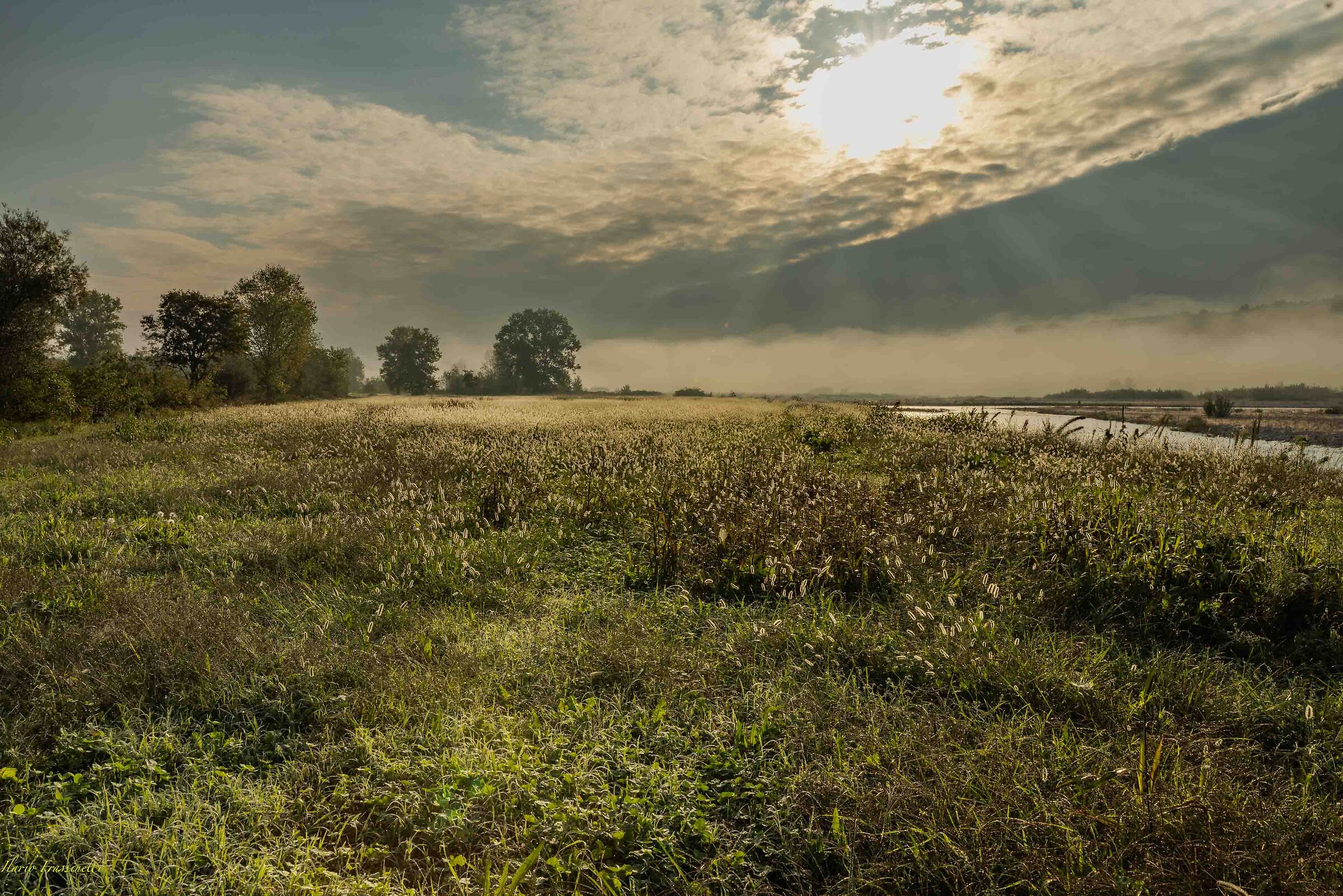 Colors at sunrise - Piave river