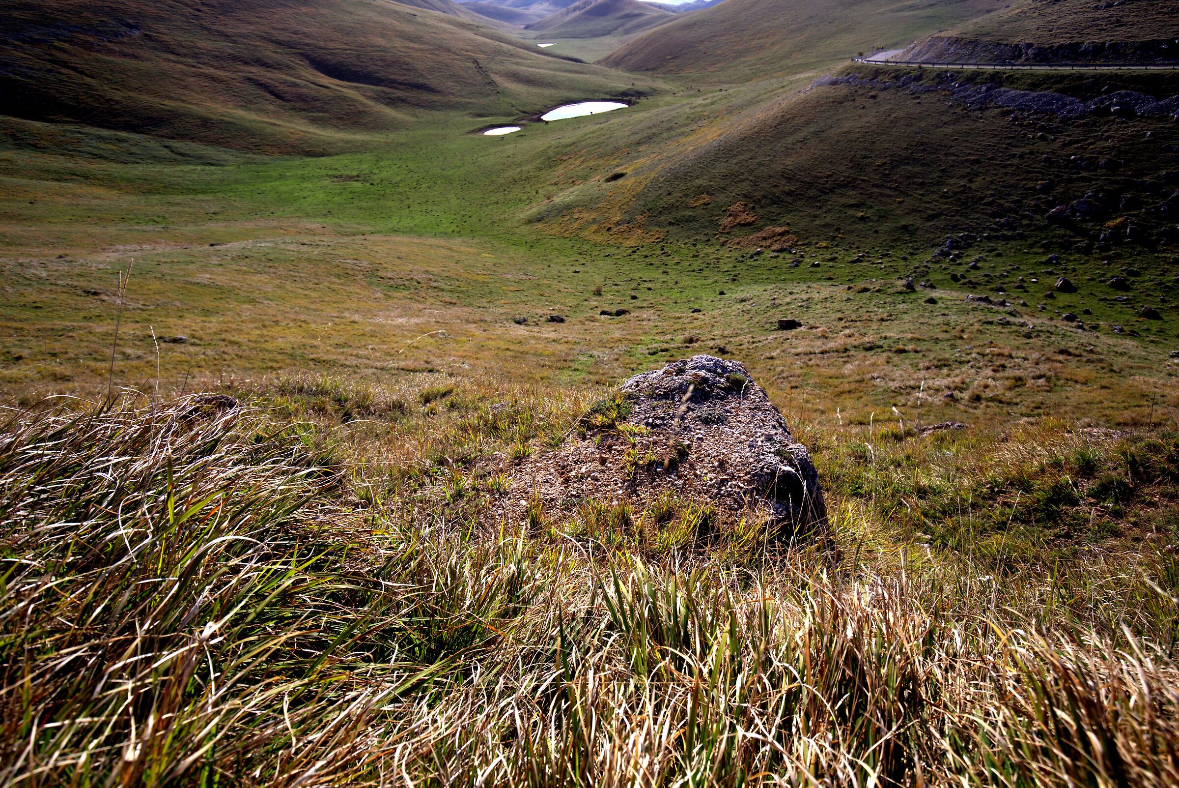 Chromatic assonances