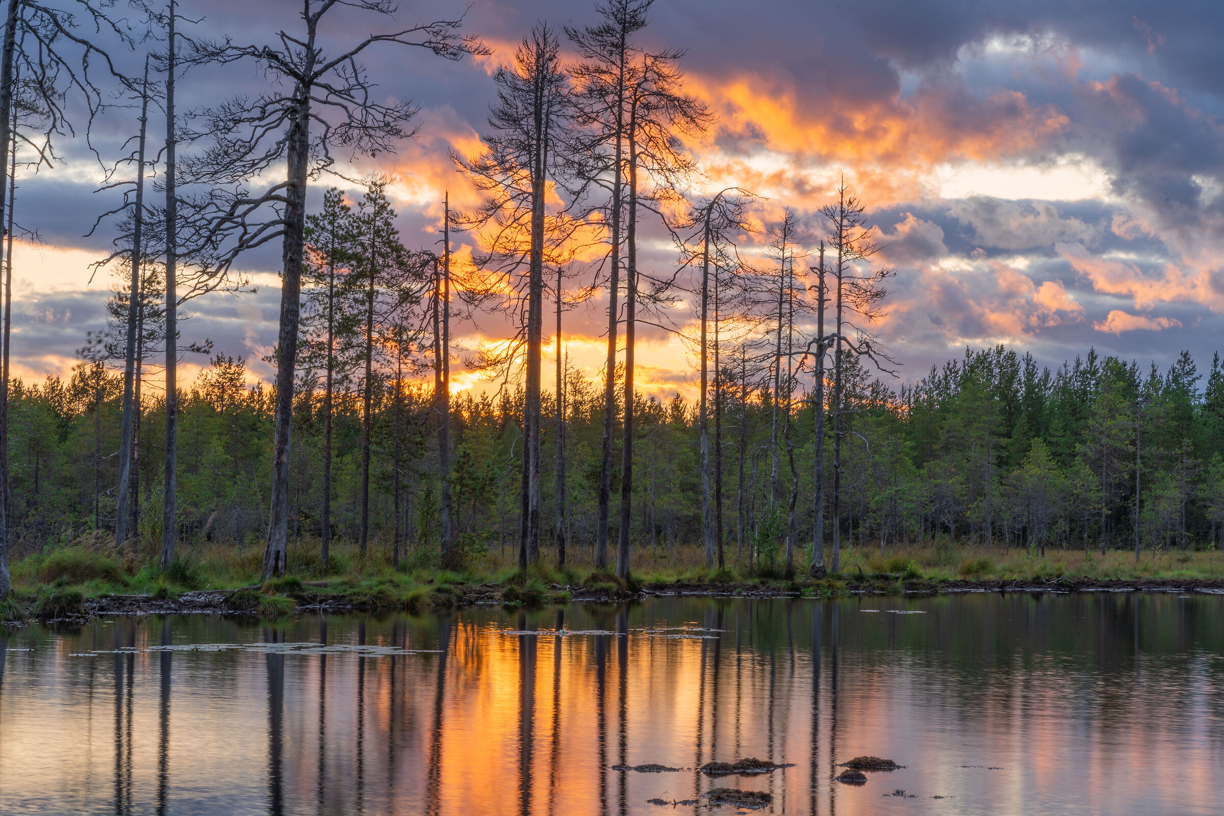 Sunset in the Finnish taiga