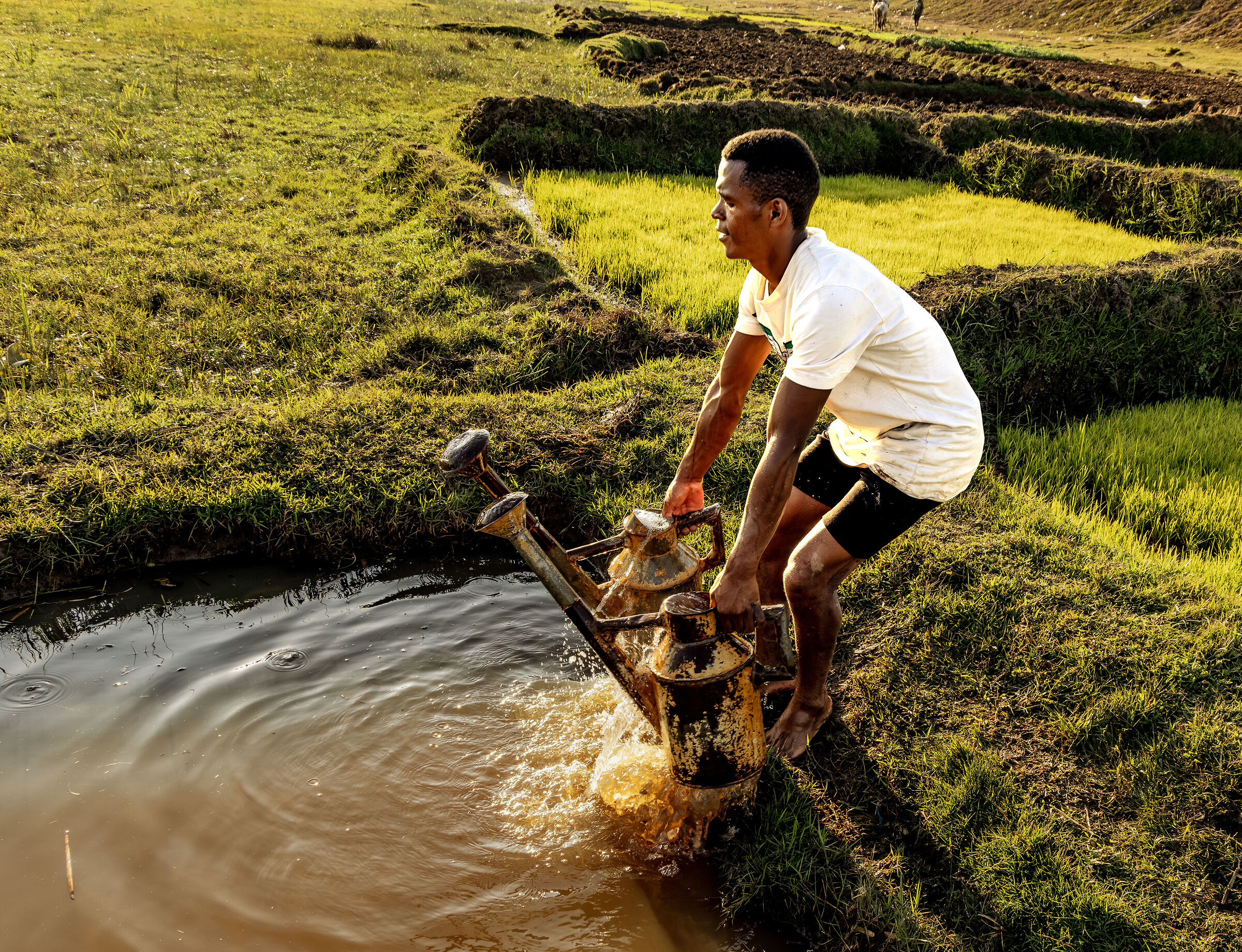 the water collector resized