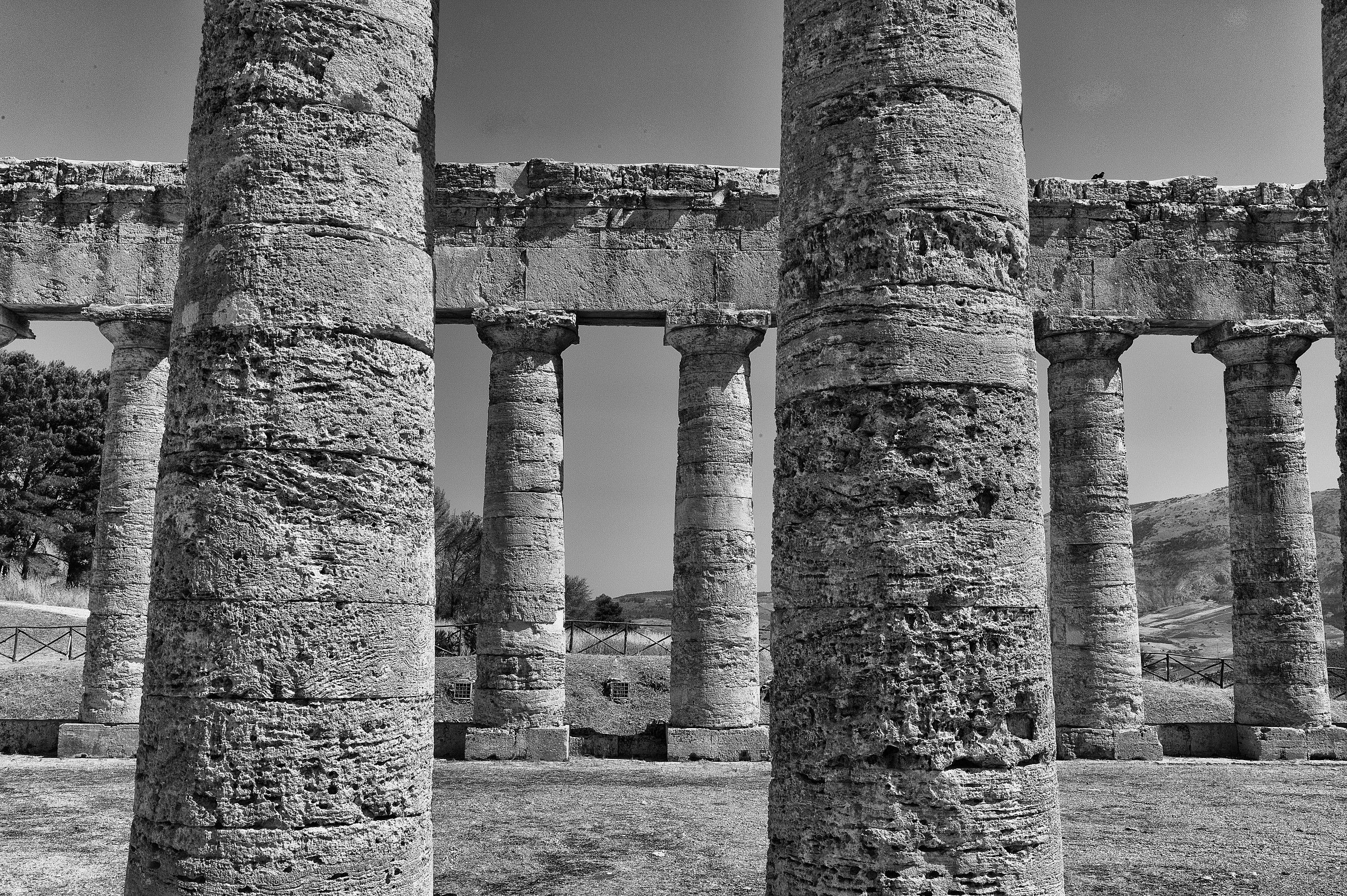 Segesta 04