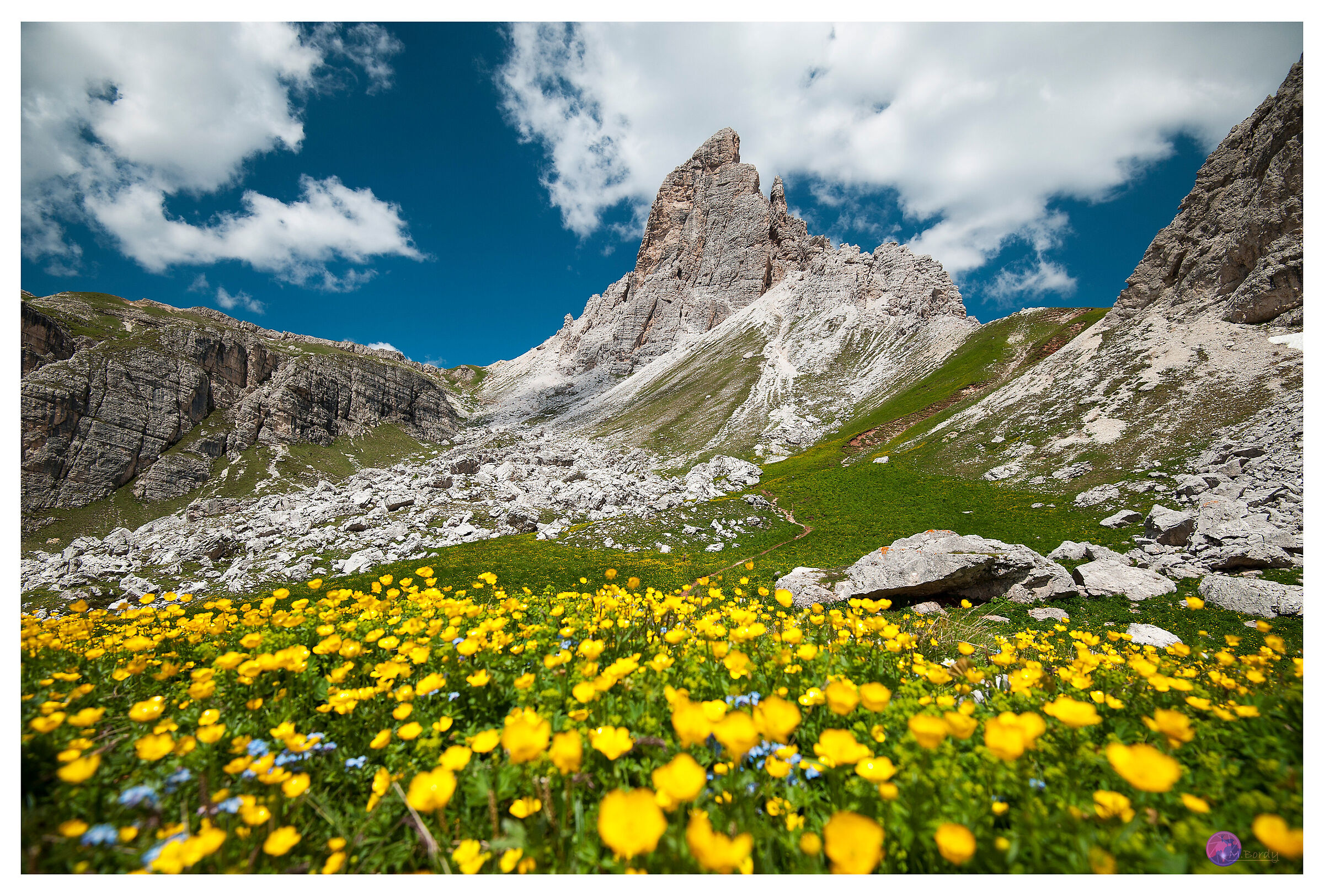 Croda da Lago in yellow