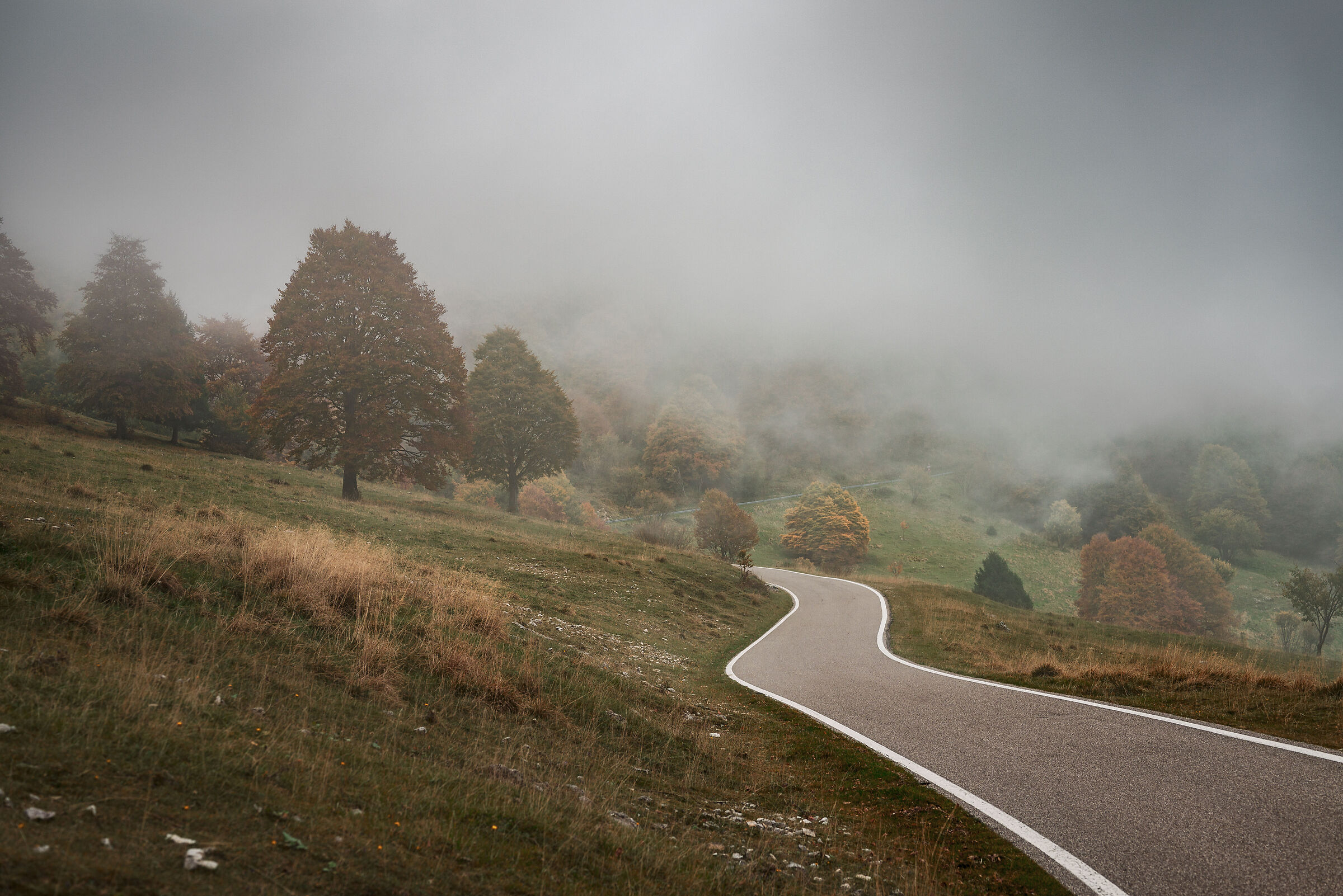 The fog on the steep hills...