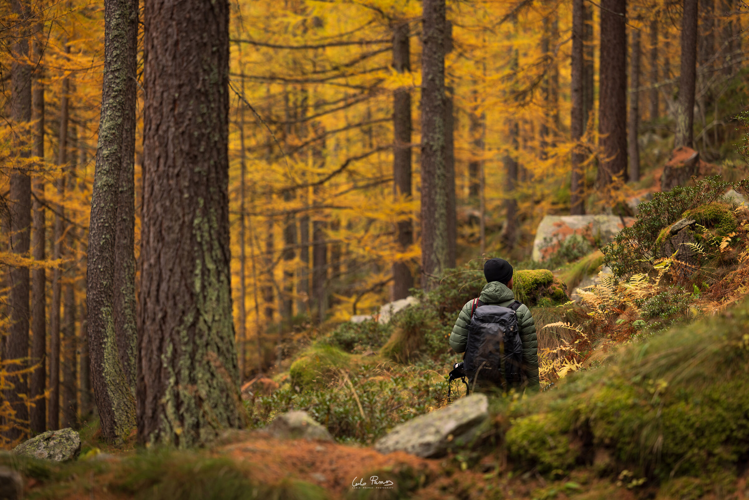Autumn in Ceresole Reale