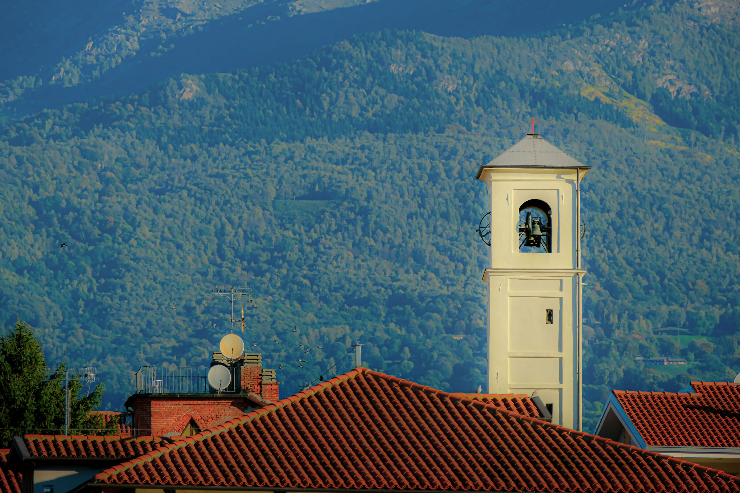 Paesaggio rustico