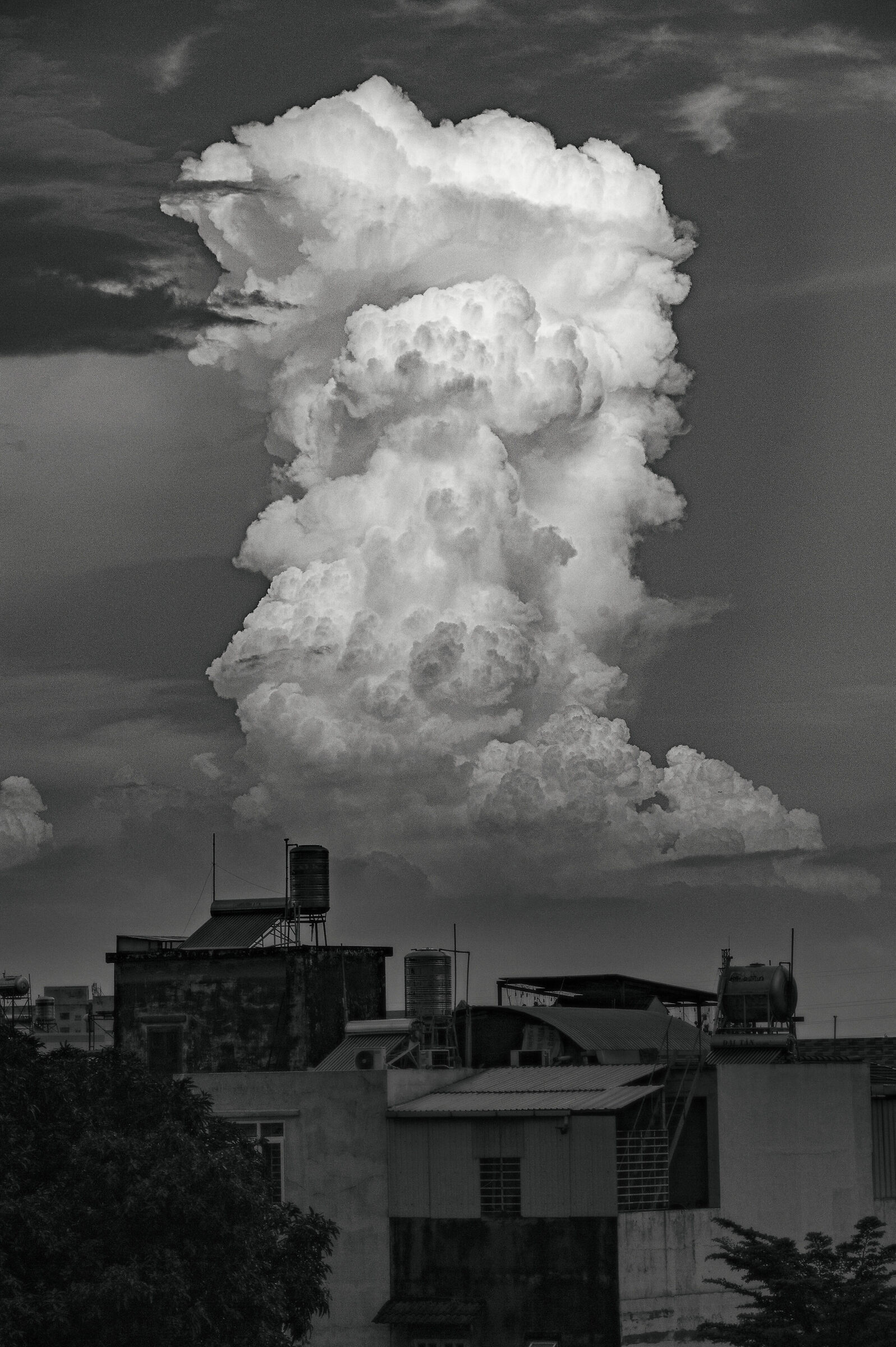 Cloud: "nel tuo volto umano"