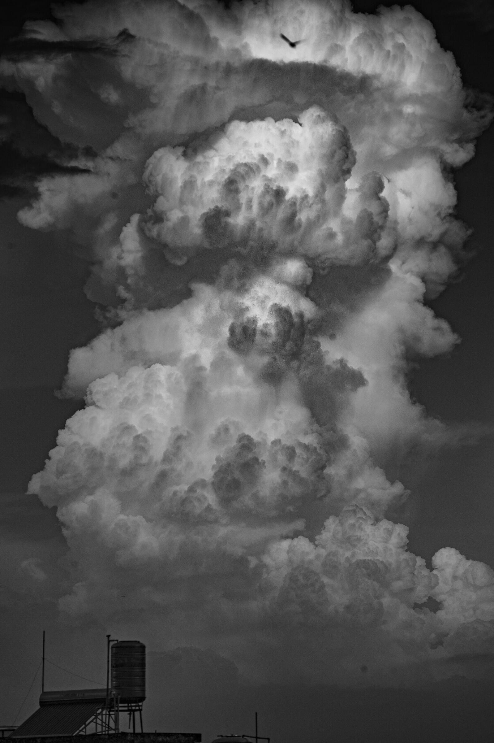 Cloud: "nel tuo volto umano"