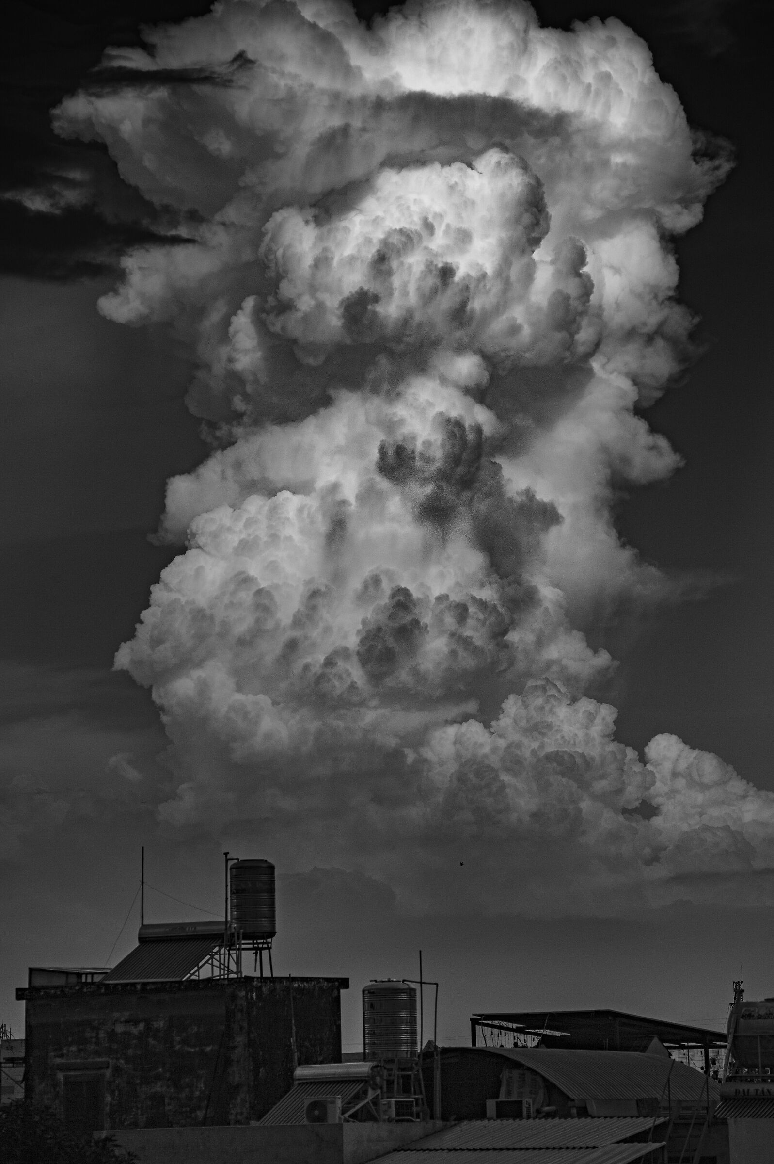 Cloud: "nel tuo volto umano"