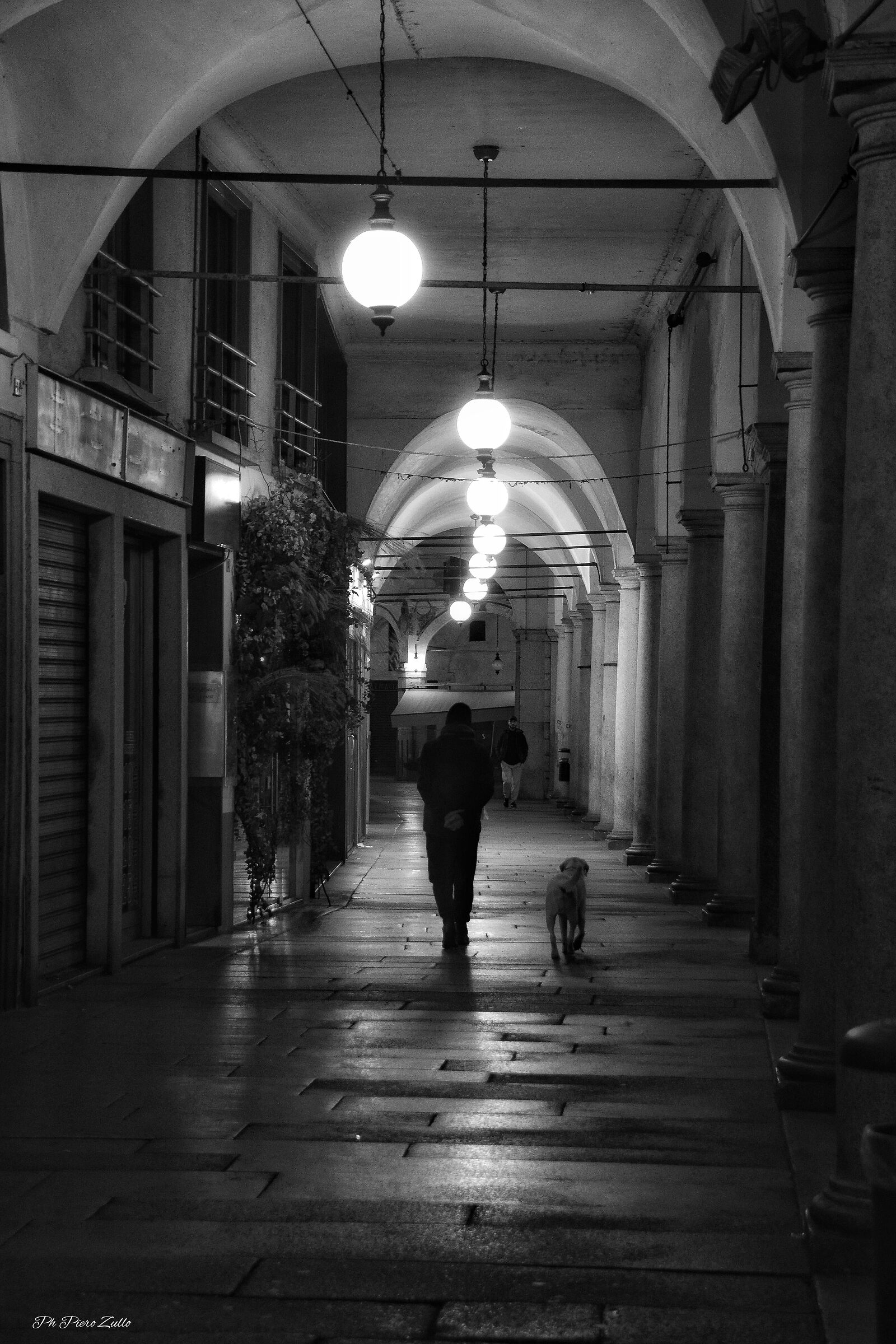 Walking with your dog