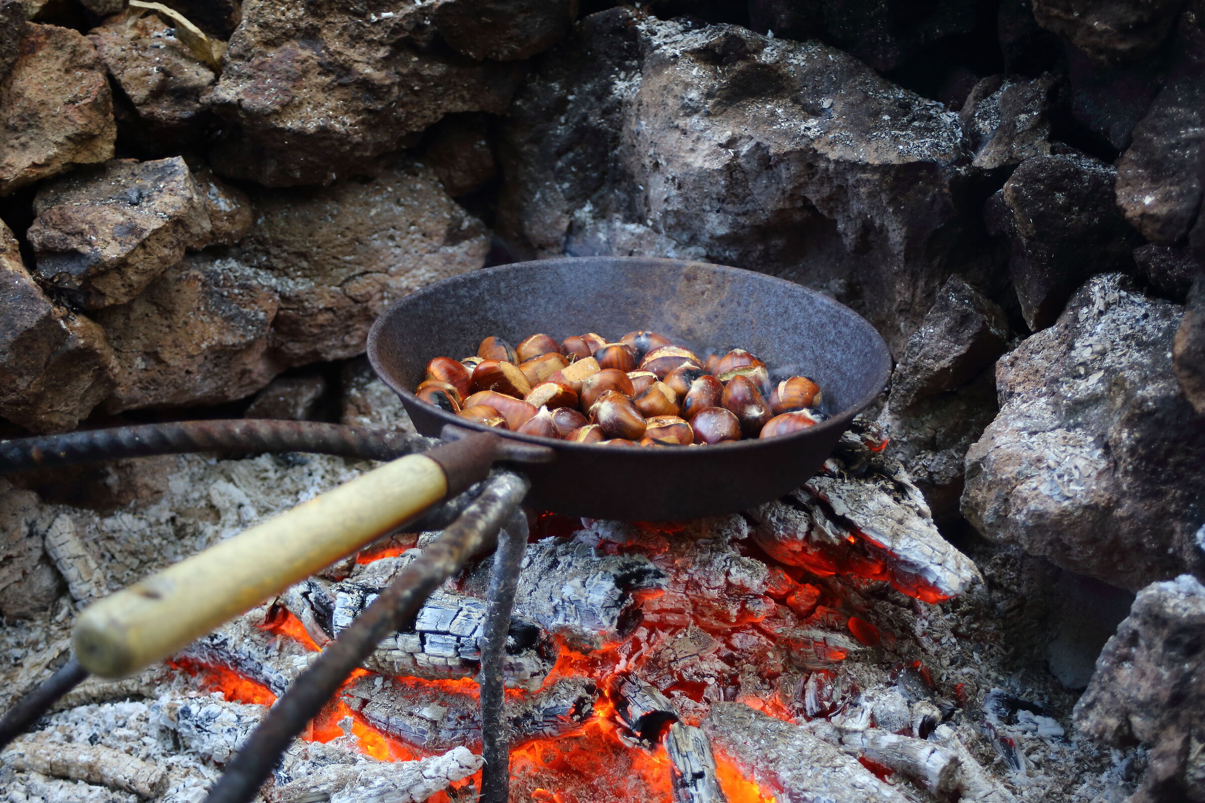 Roasted chestnuts