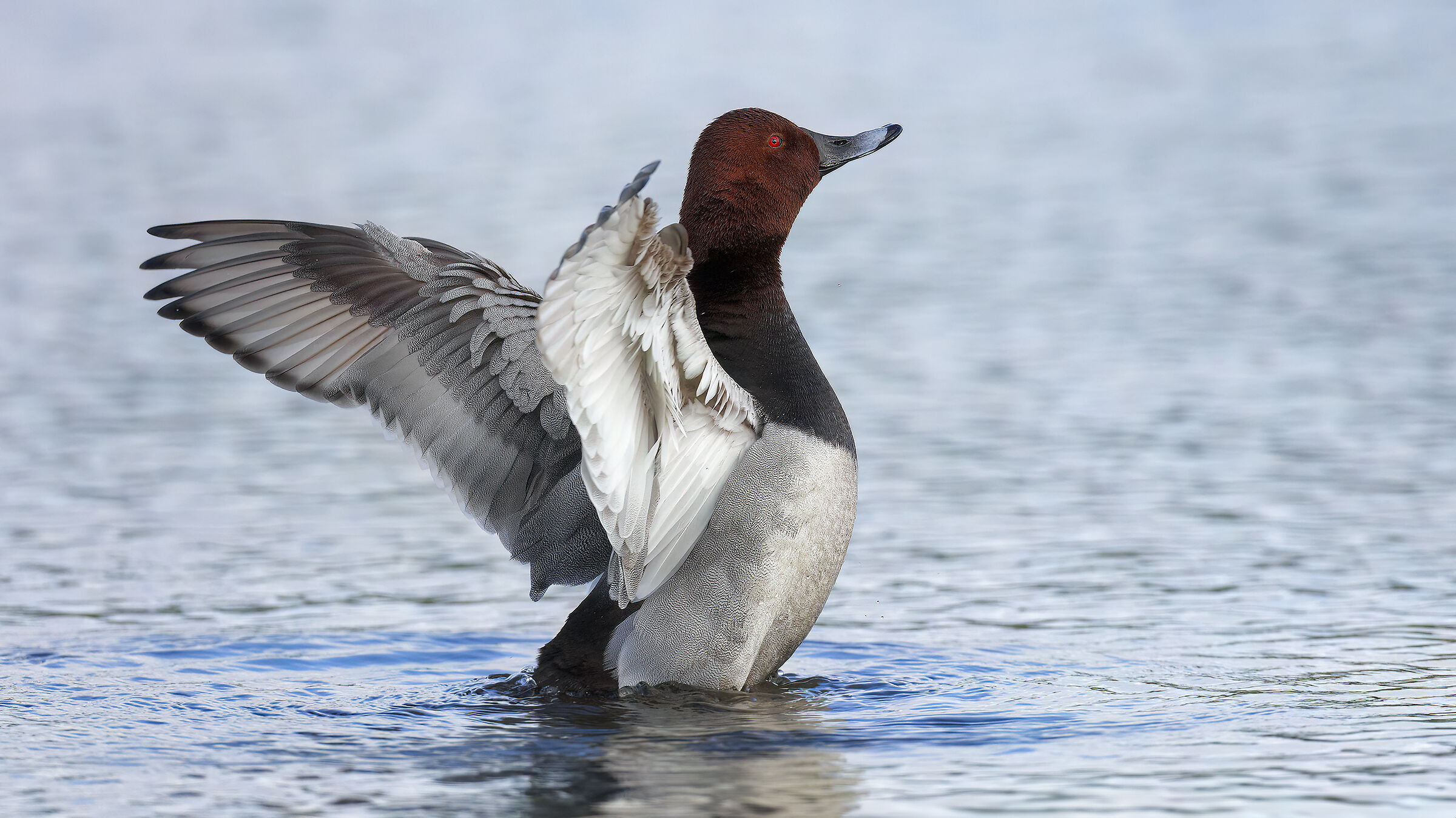 moriglione casalingo