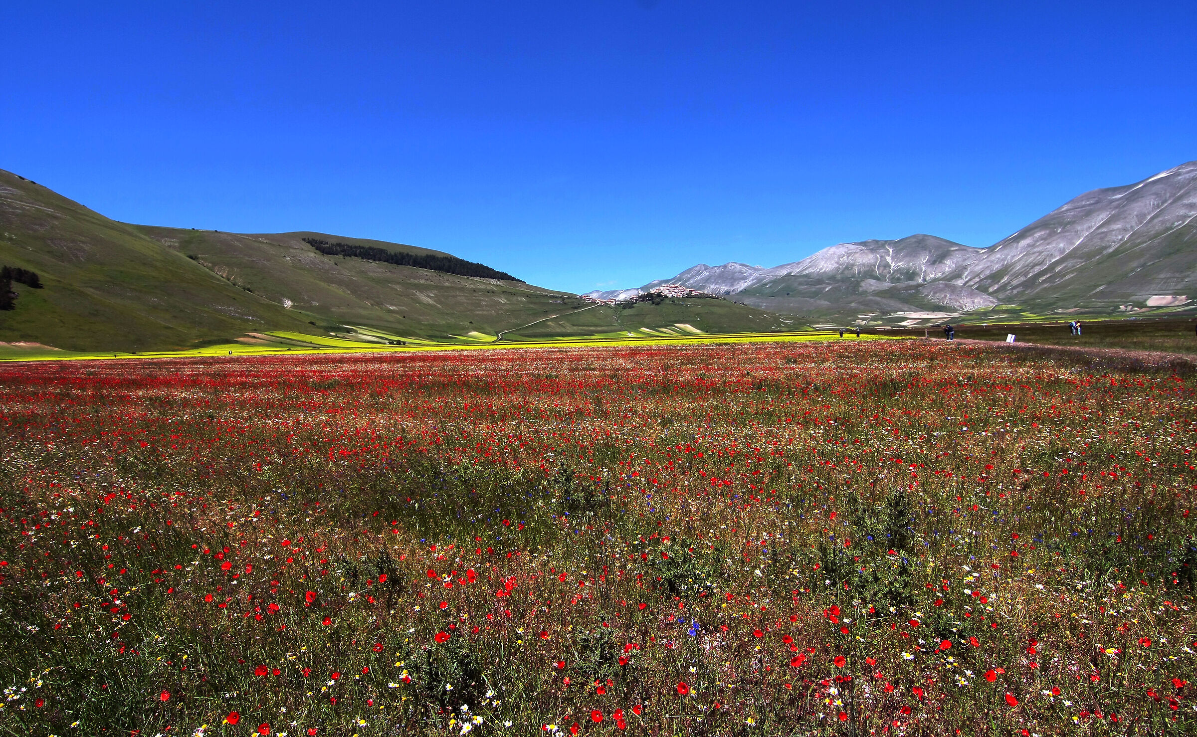 Castelluccio a colori