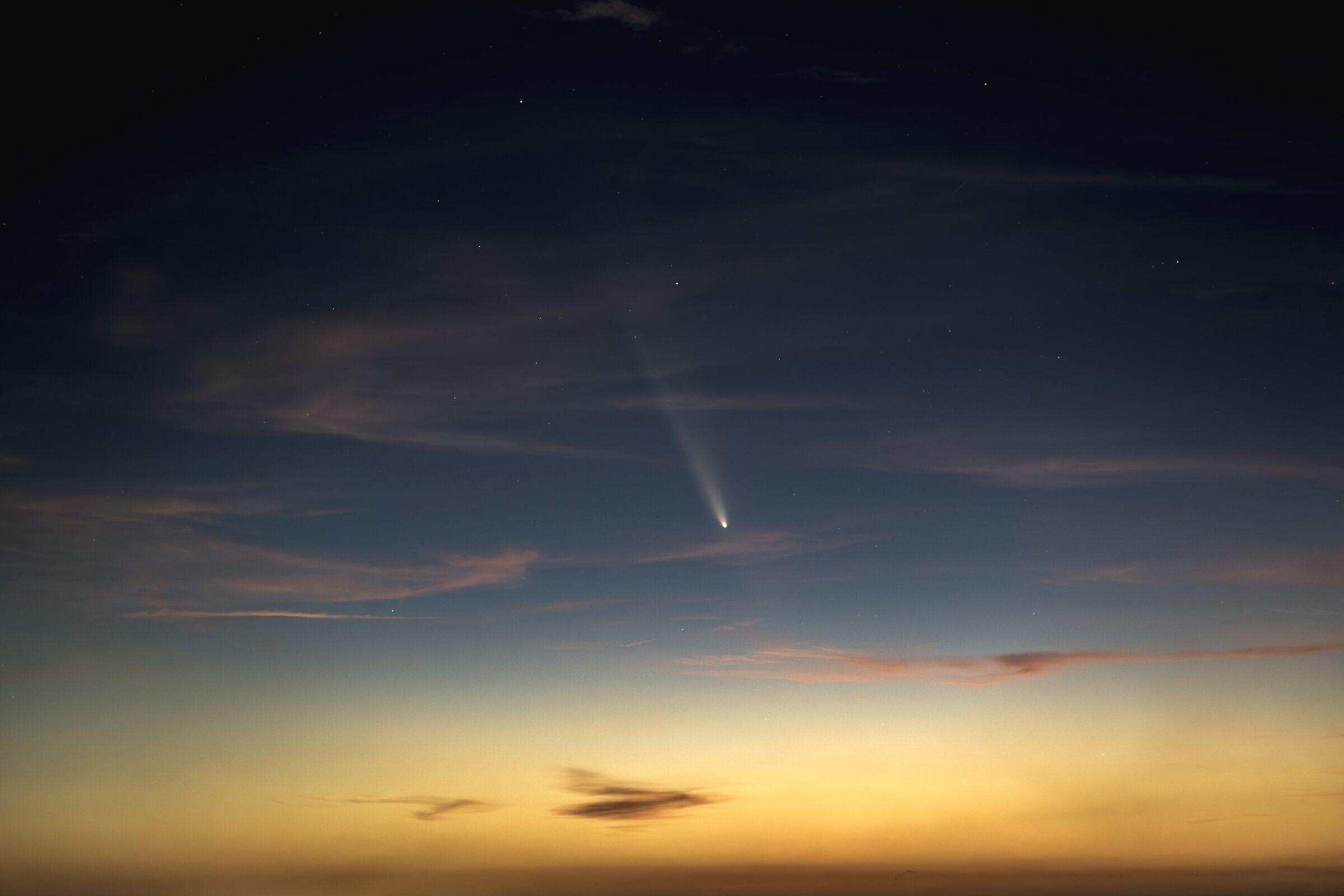 c/2023 Tsuchishan-Atlas