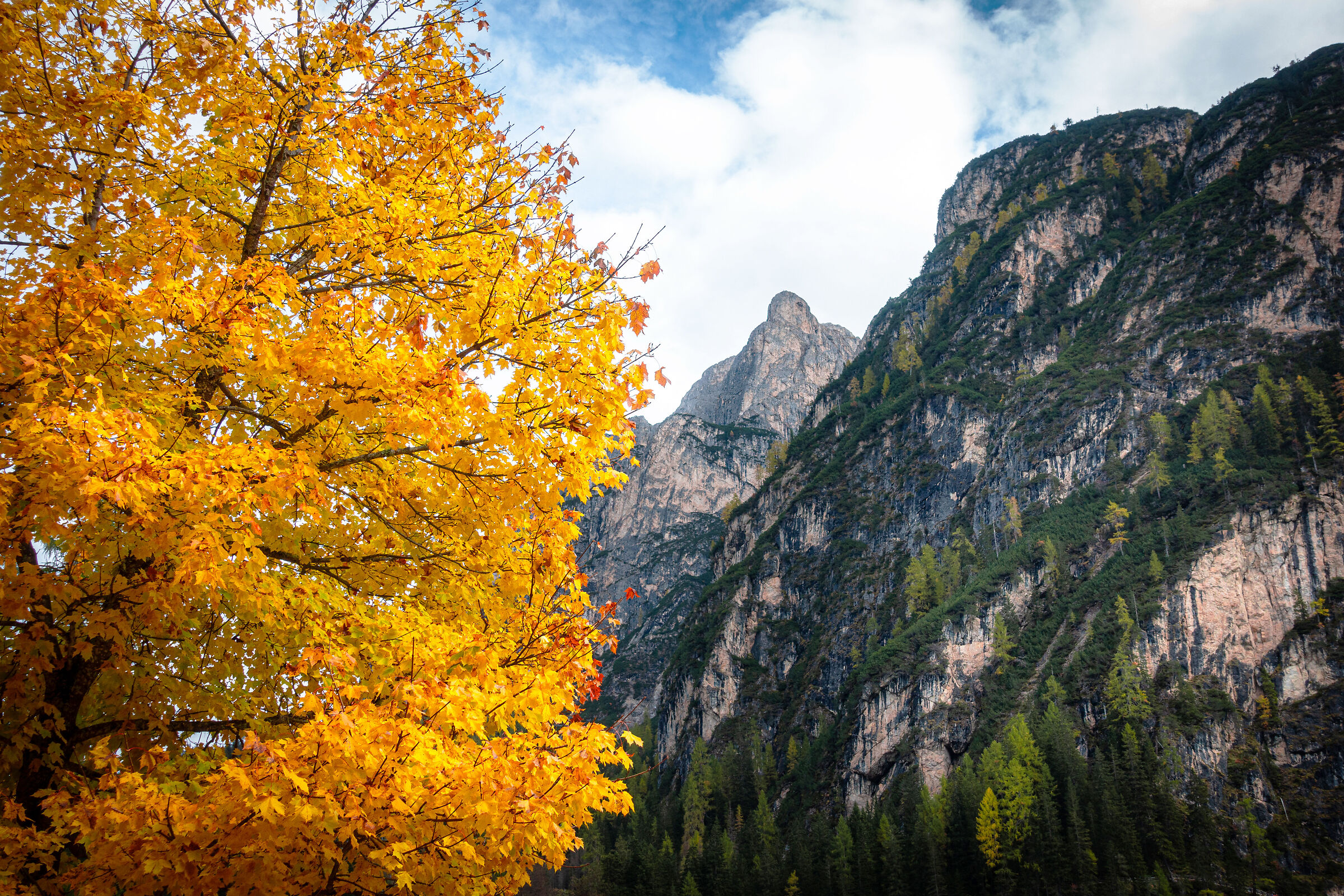 Autumn at Lake Braies