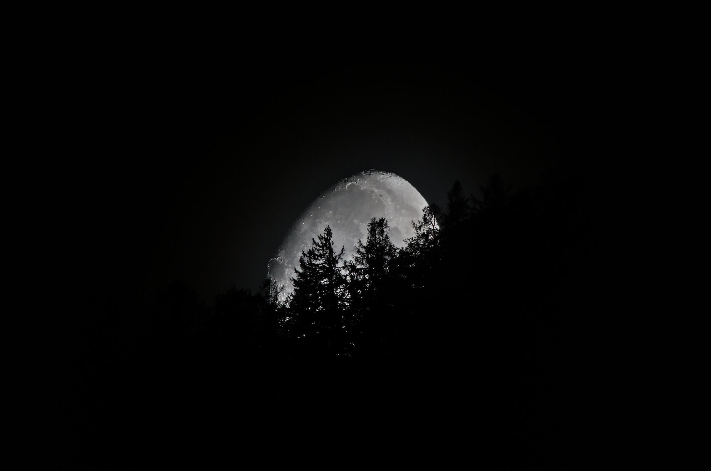 Moon Egg