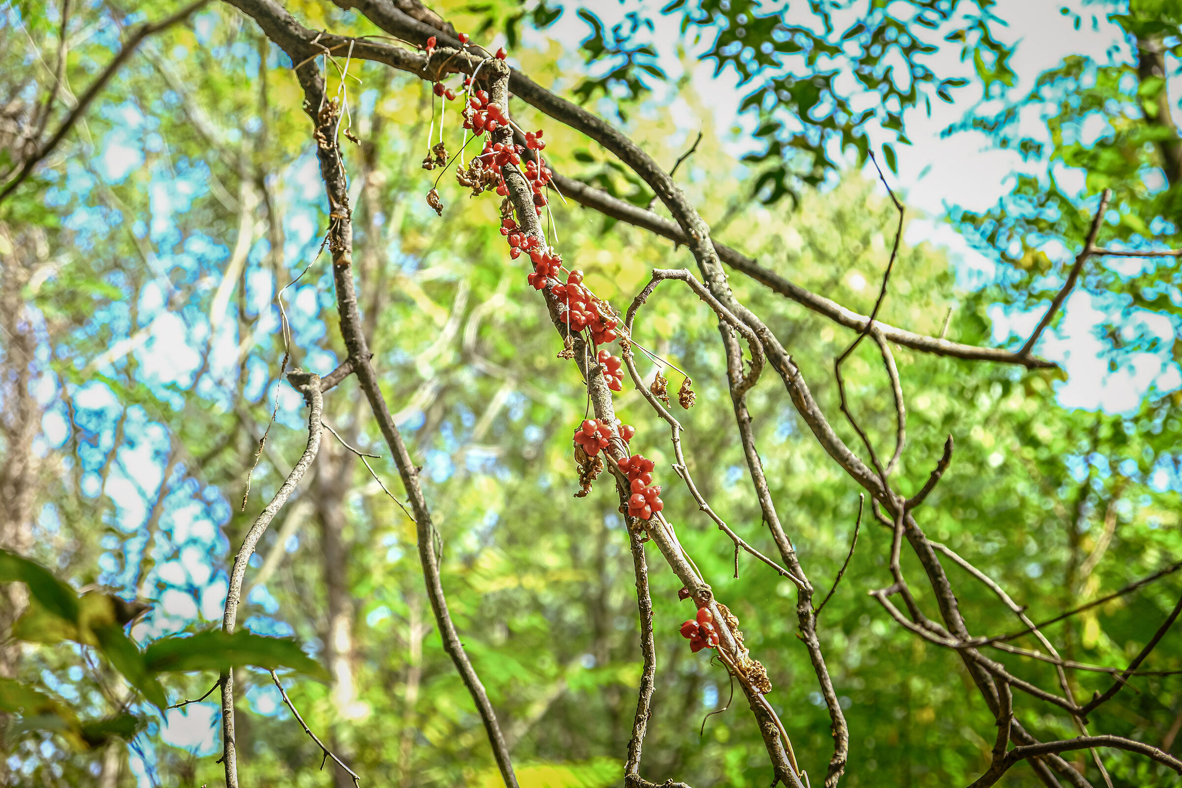 Natura e colori