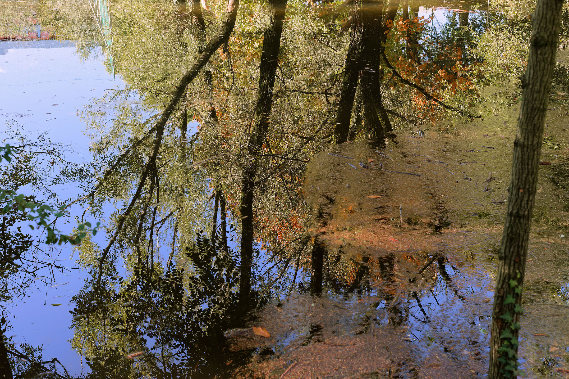 Untitled Photo