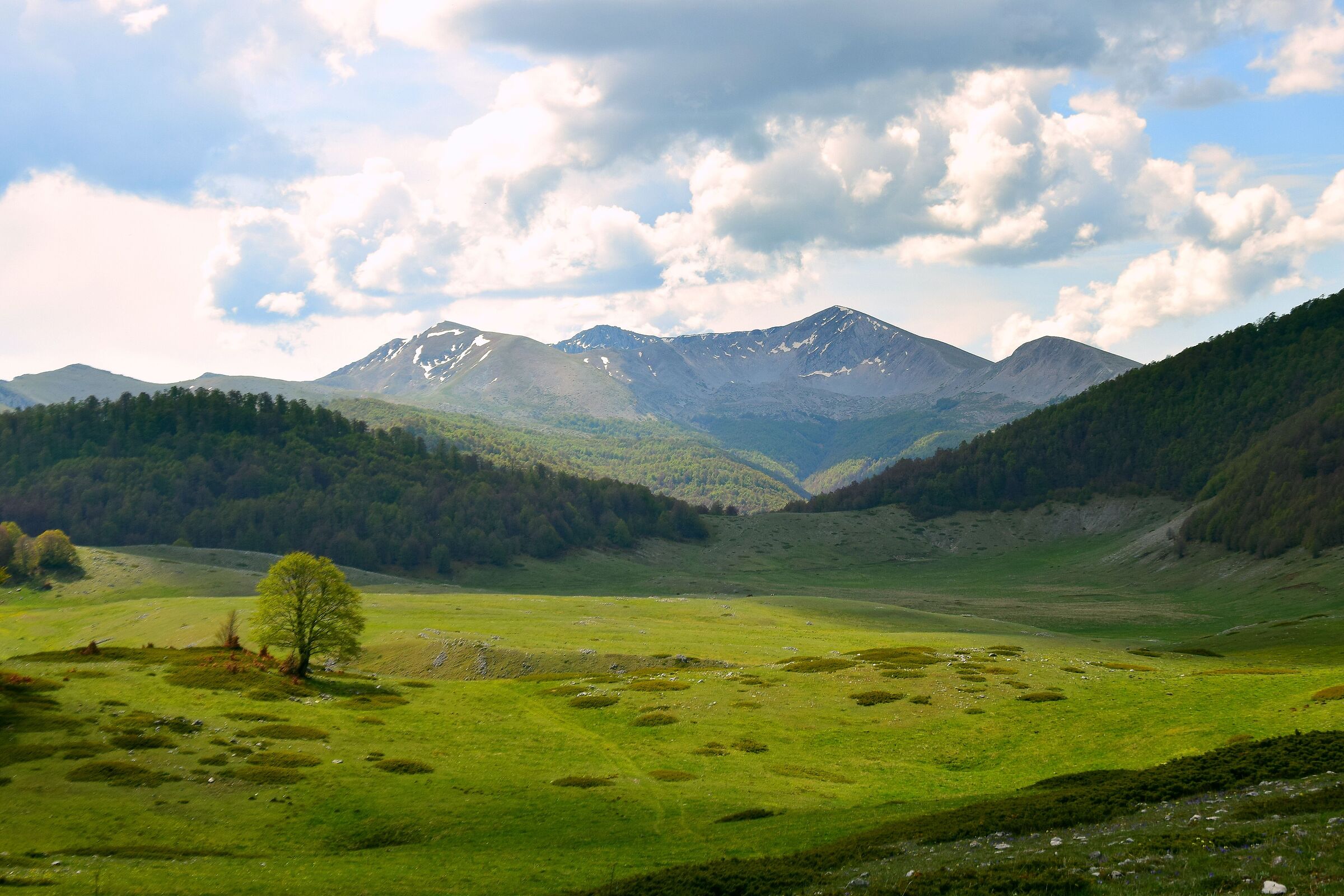 Plain of Terraegna