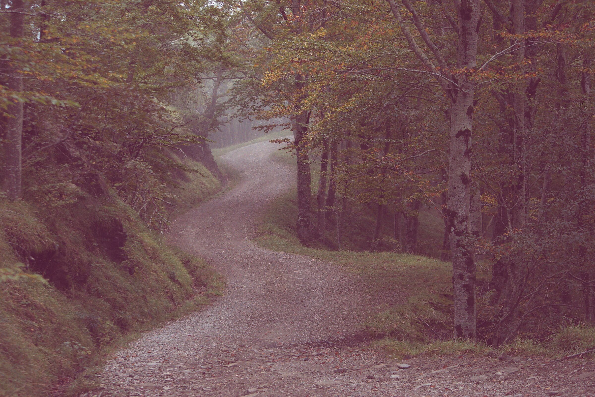 Verso San Paolo in Alpe
