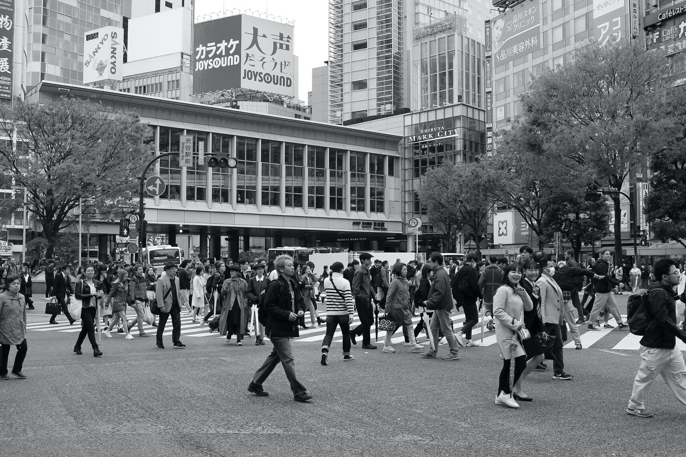 Tokyo passaggio pedonale