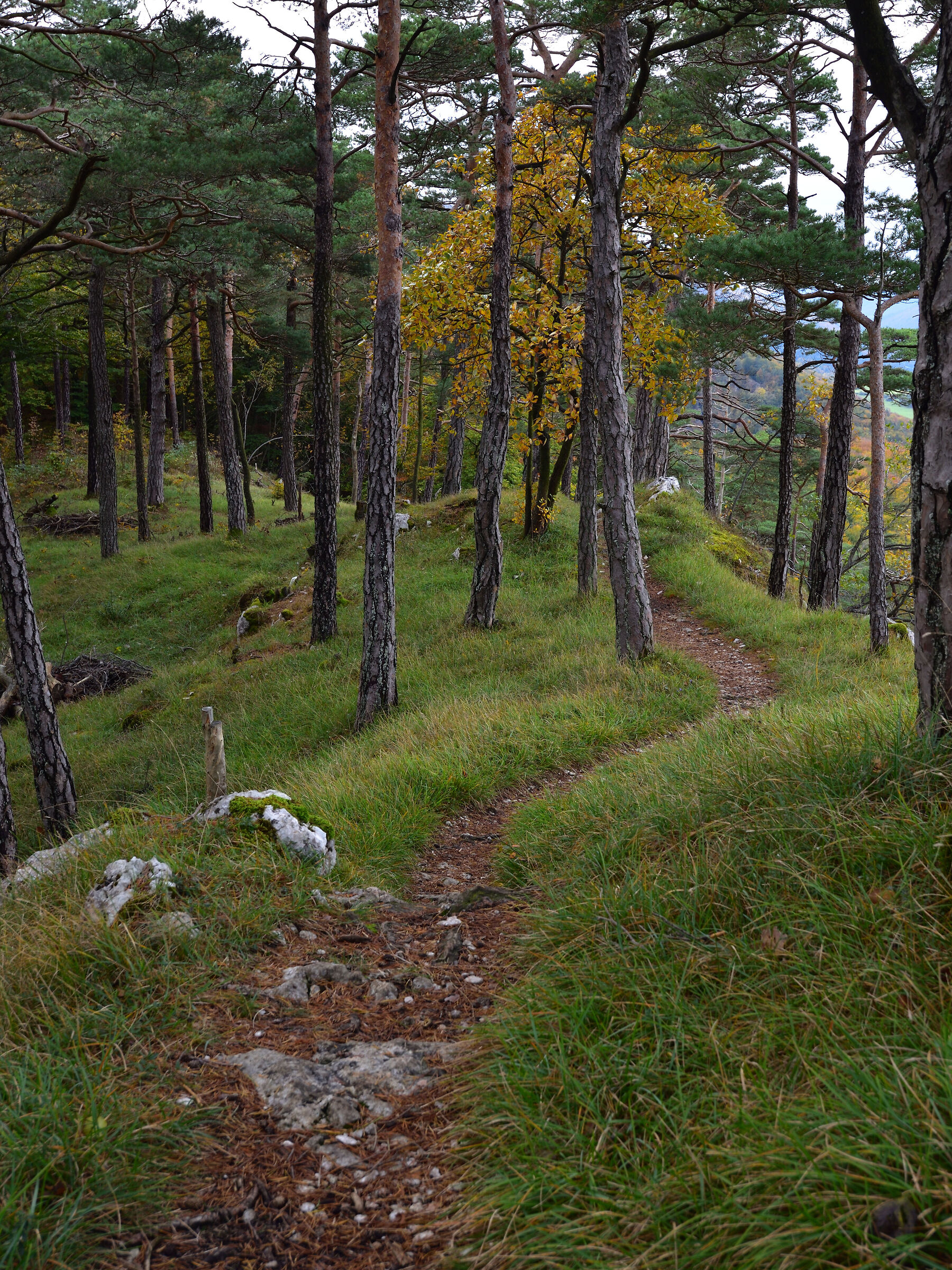 Verso l'autunno