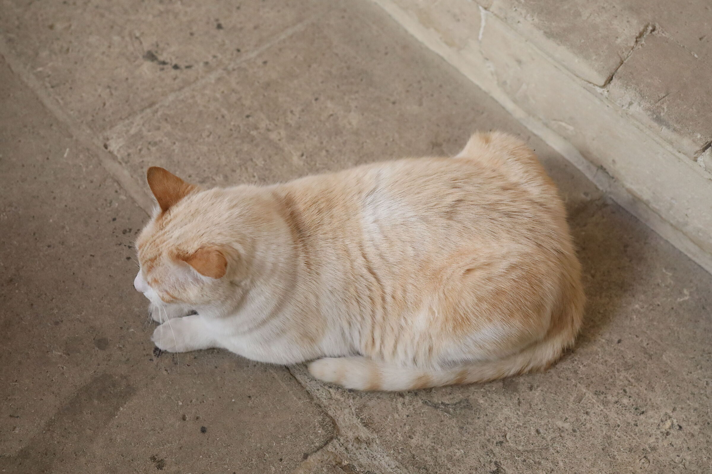 @ " ISO 6 Mila 400 " Canon 5 D IV- Milvus Z. 50, 1...