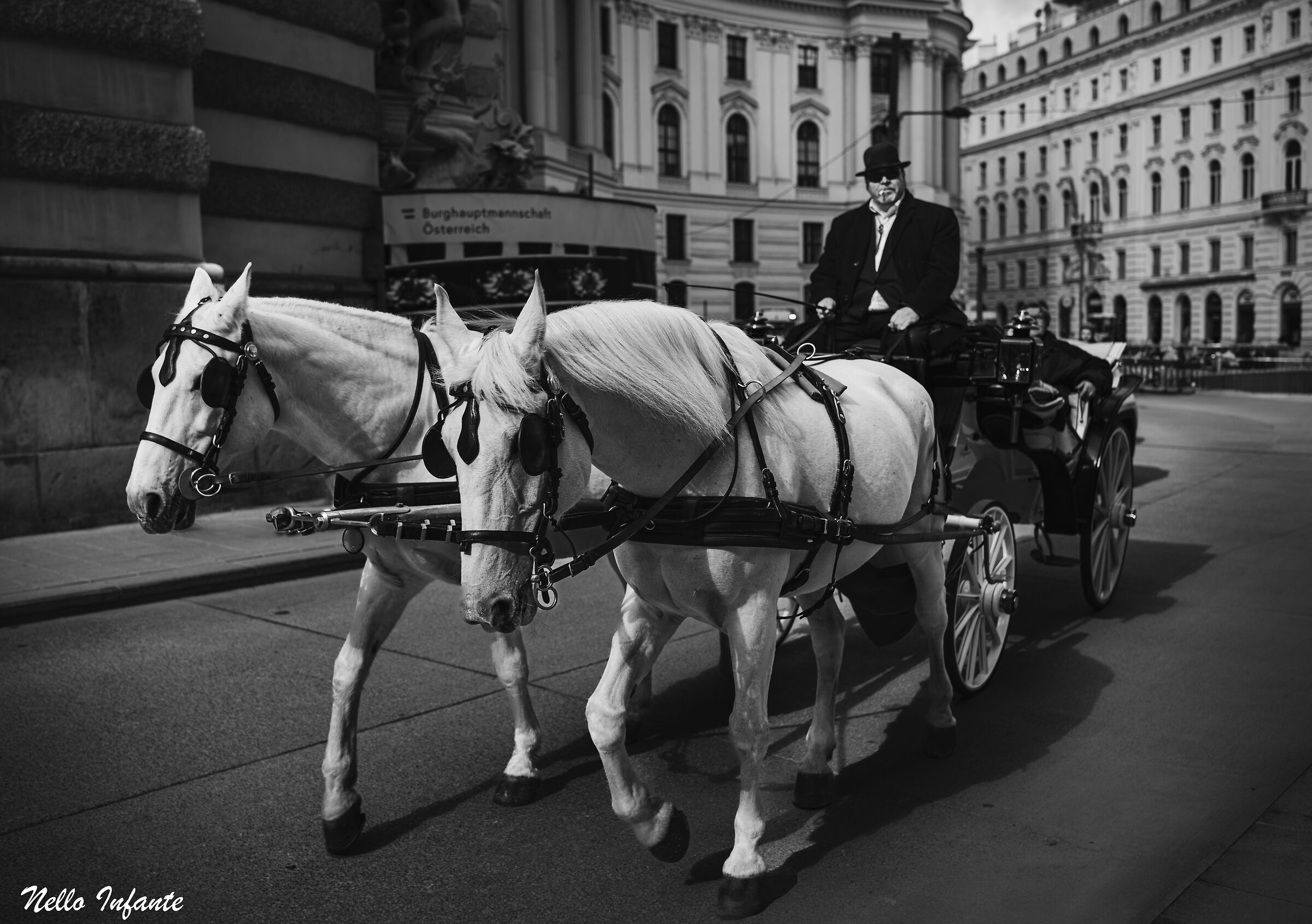 Le carrozze...