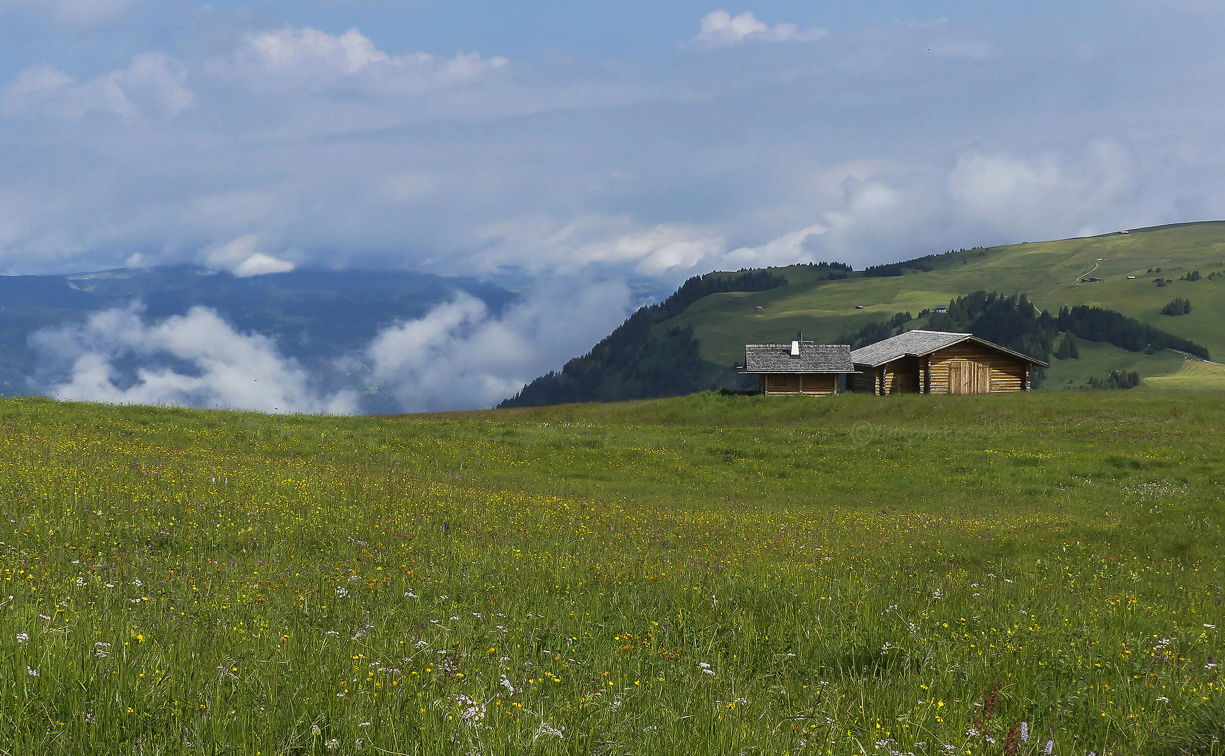 Alpe di Siusi