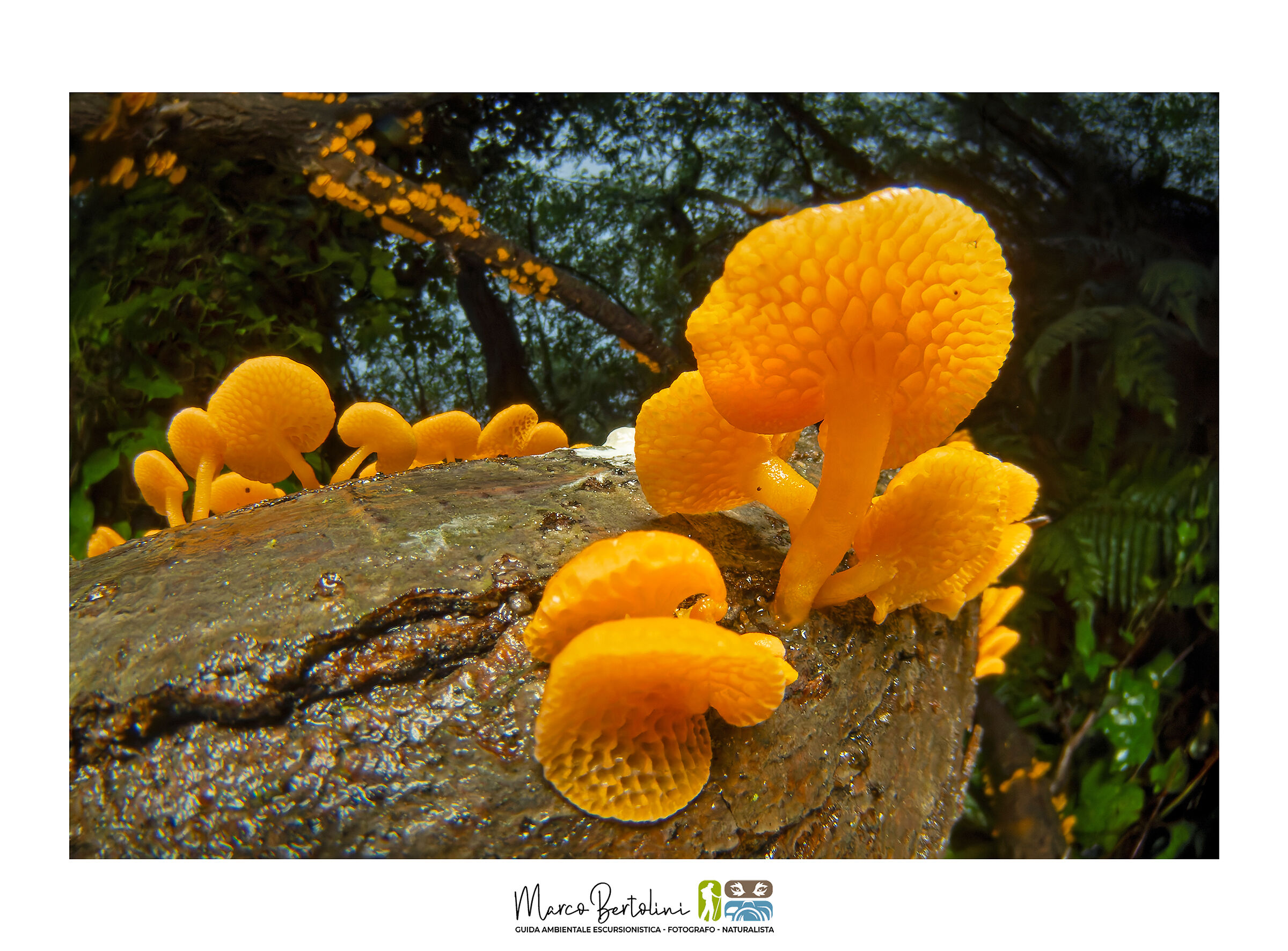 Dal punto di vista del microcosmo