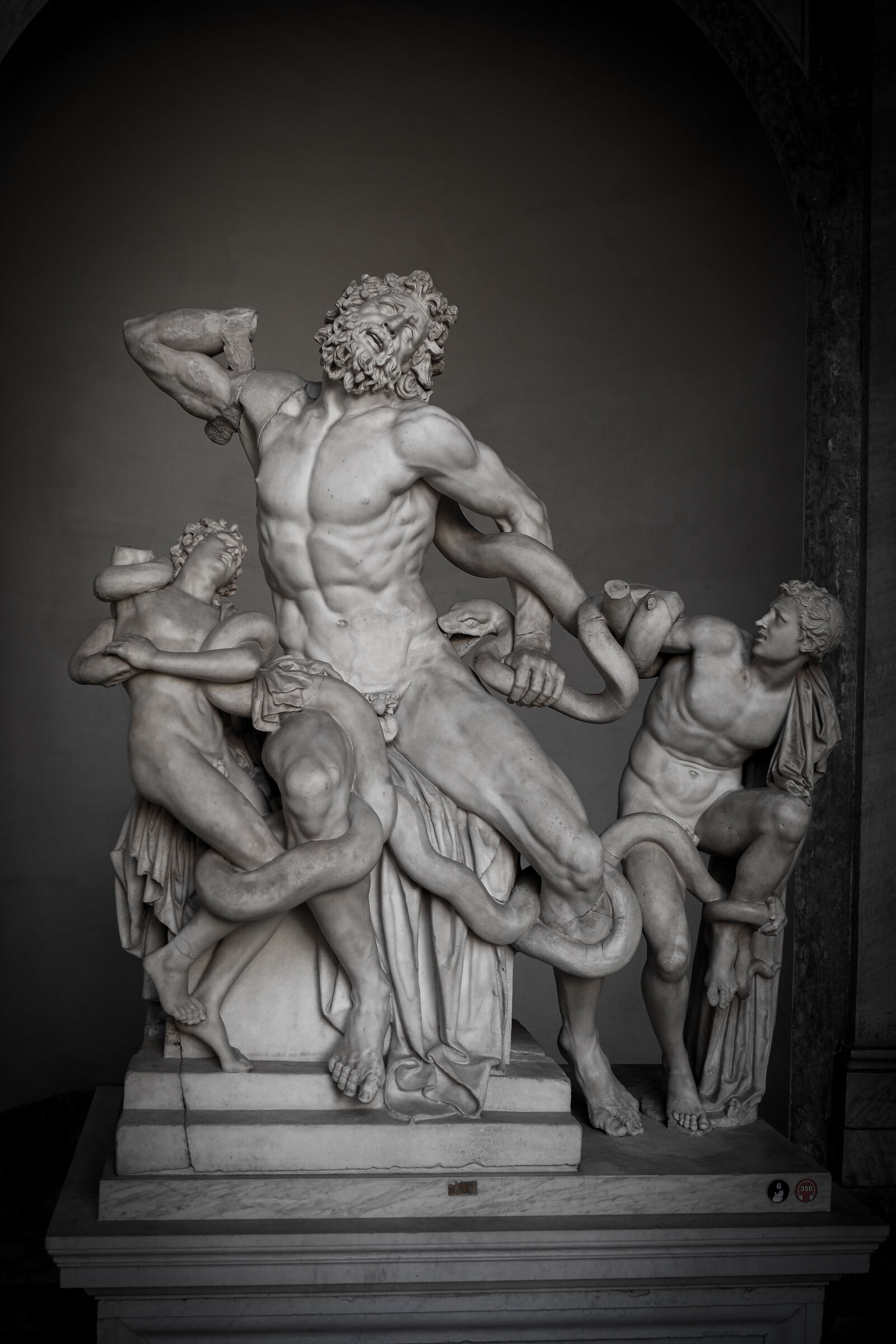 Il Laocoonte