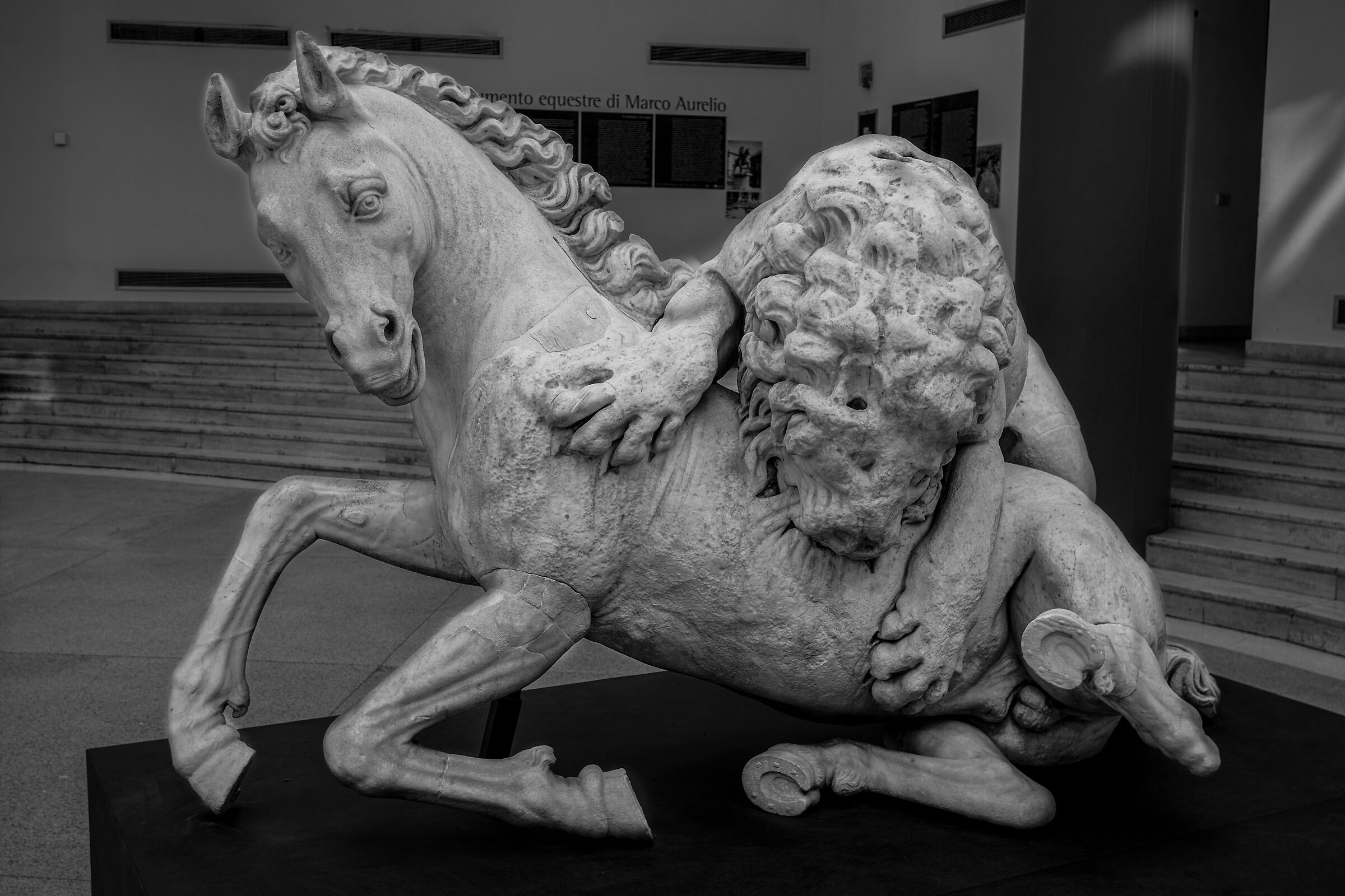 La carne di cavallo...è buona