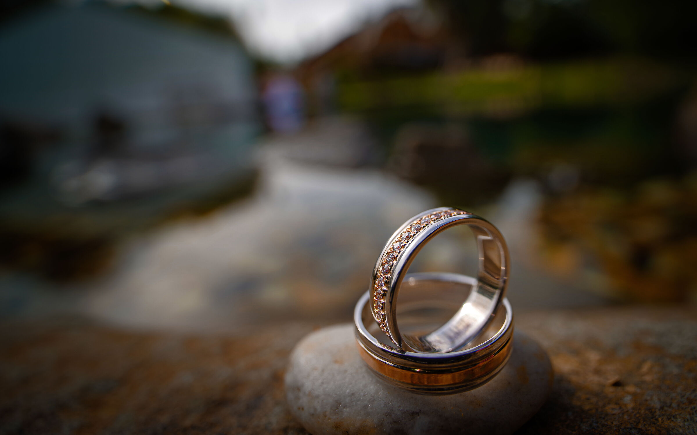 Pentax K-1 + Laowa 15/4