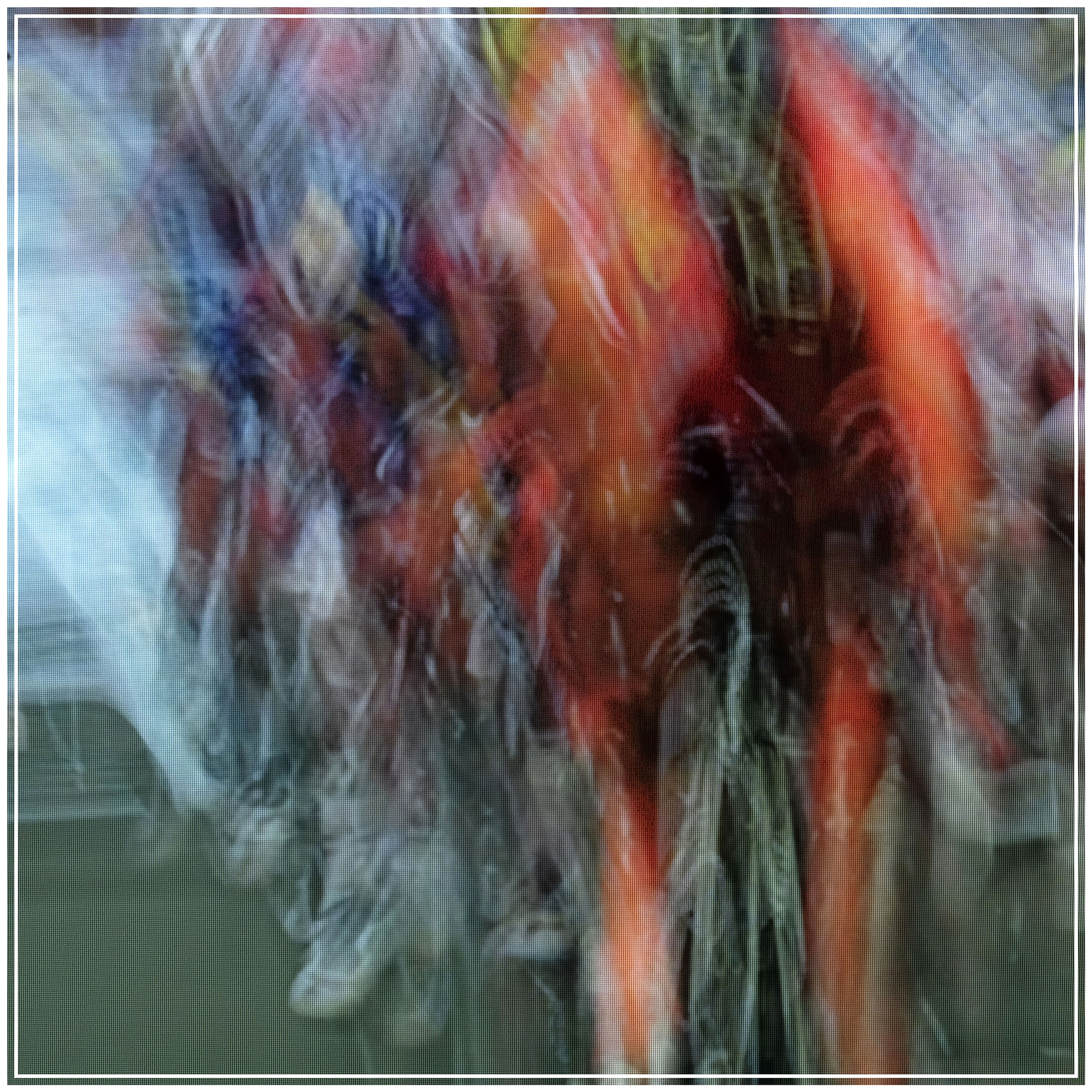 amstegoldrace
