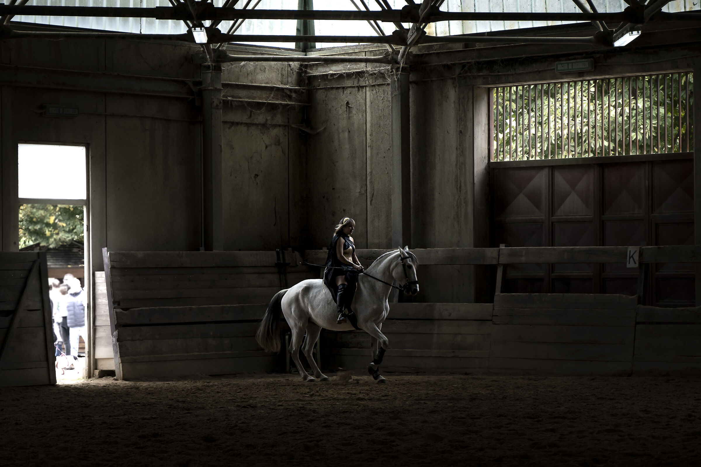 fiera del cavallo Cantiano