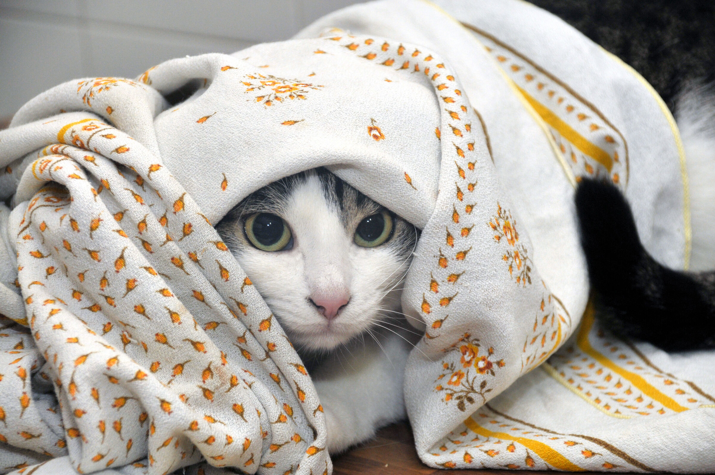 I'm staying warm