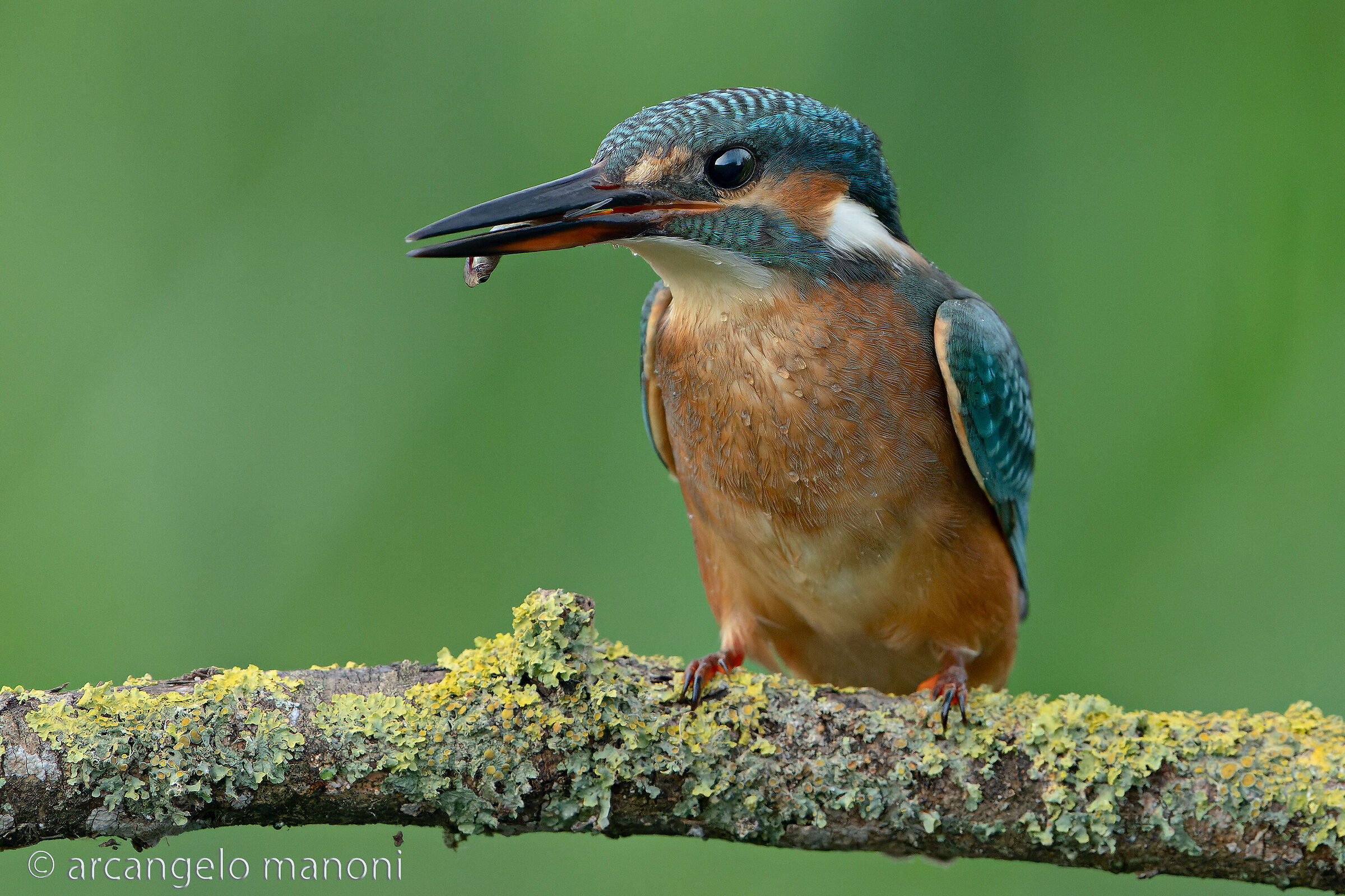 Come un sigaro toscano