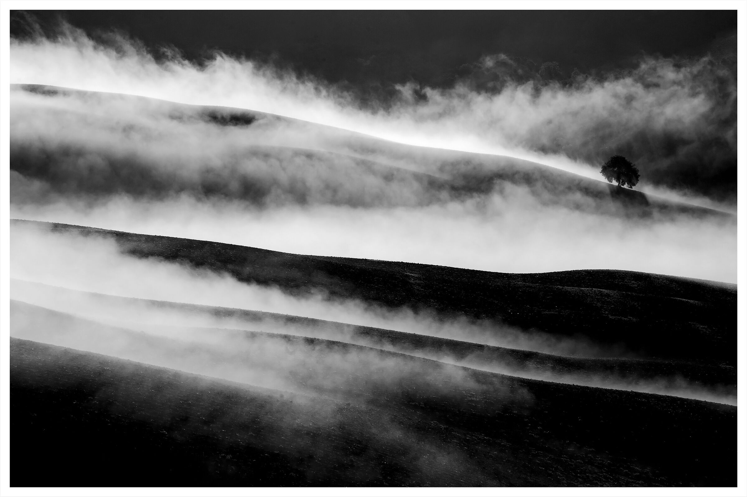 tra la nebbia.
