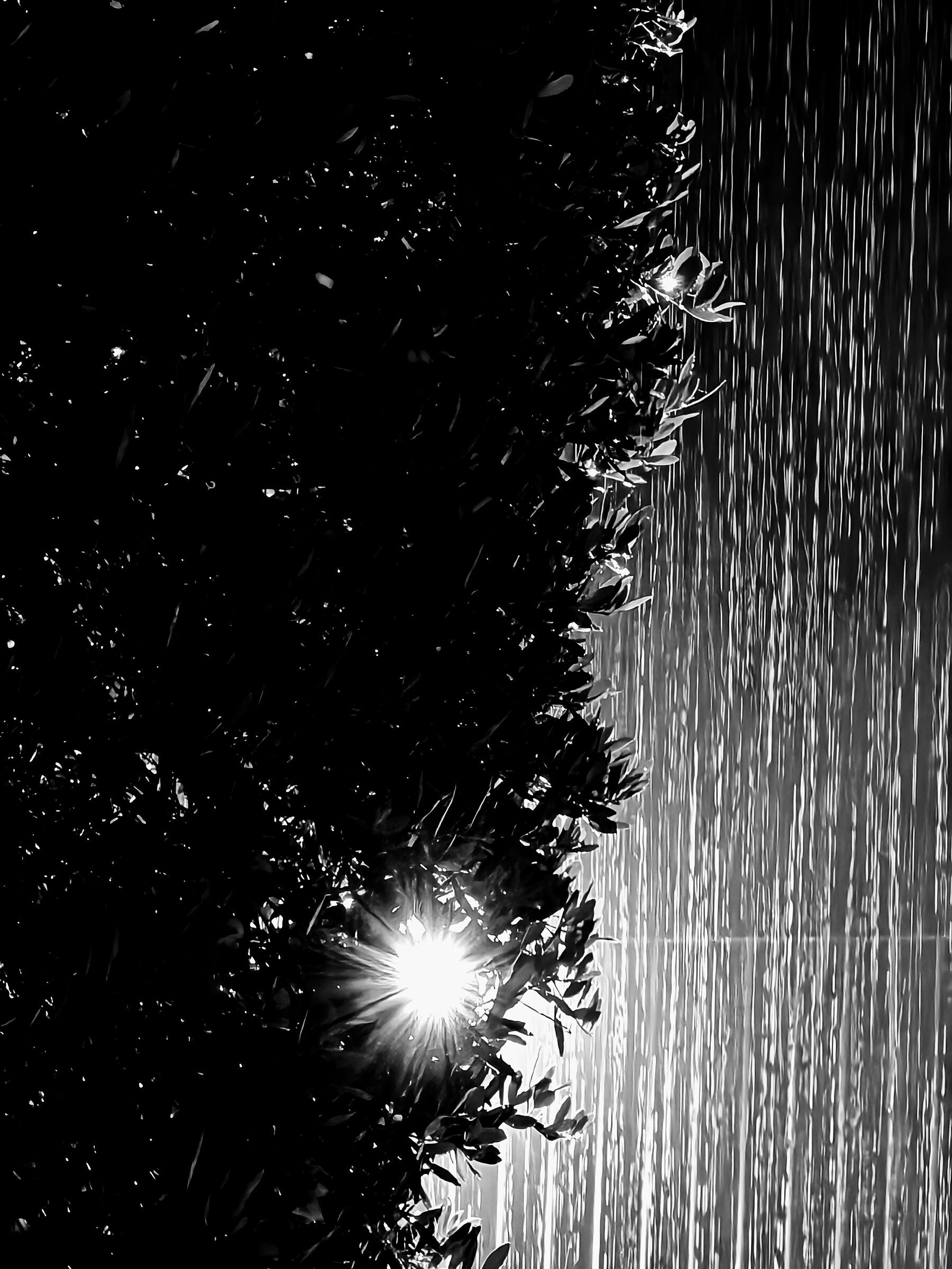 Rain and b/w light