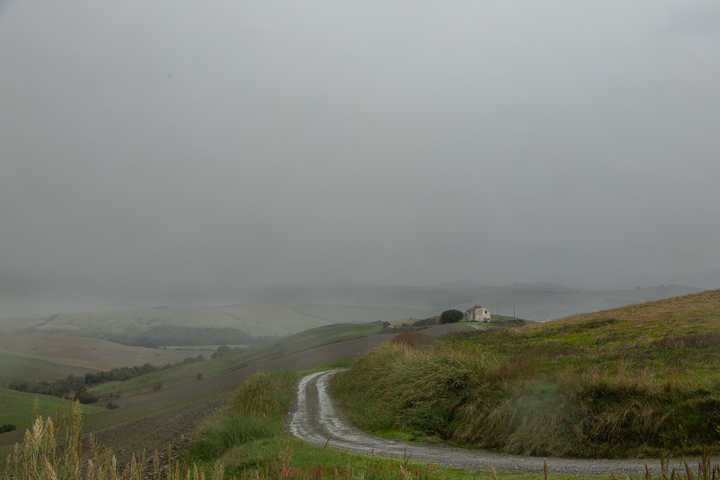 Landscape and rain