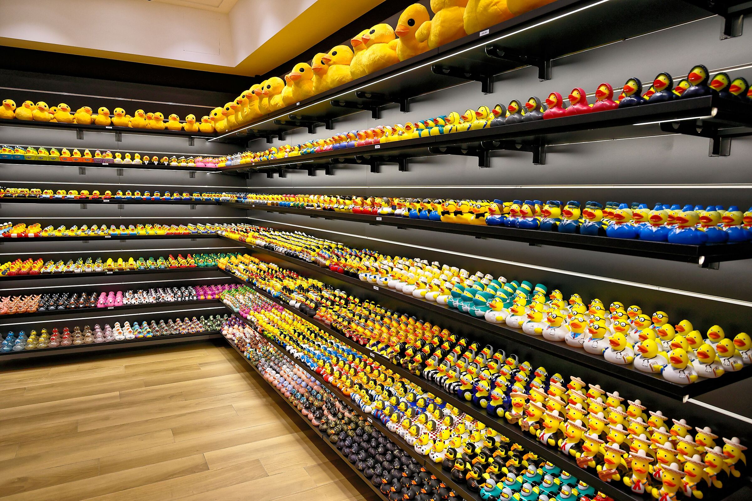 Duck Store