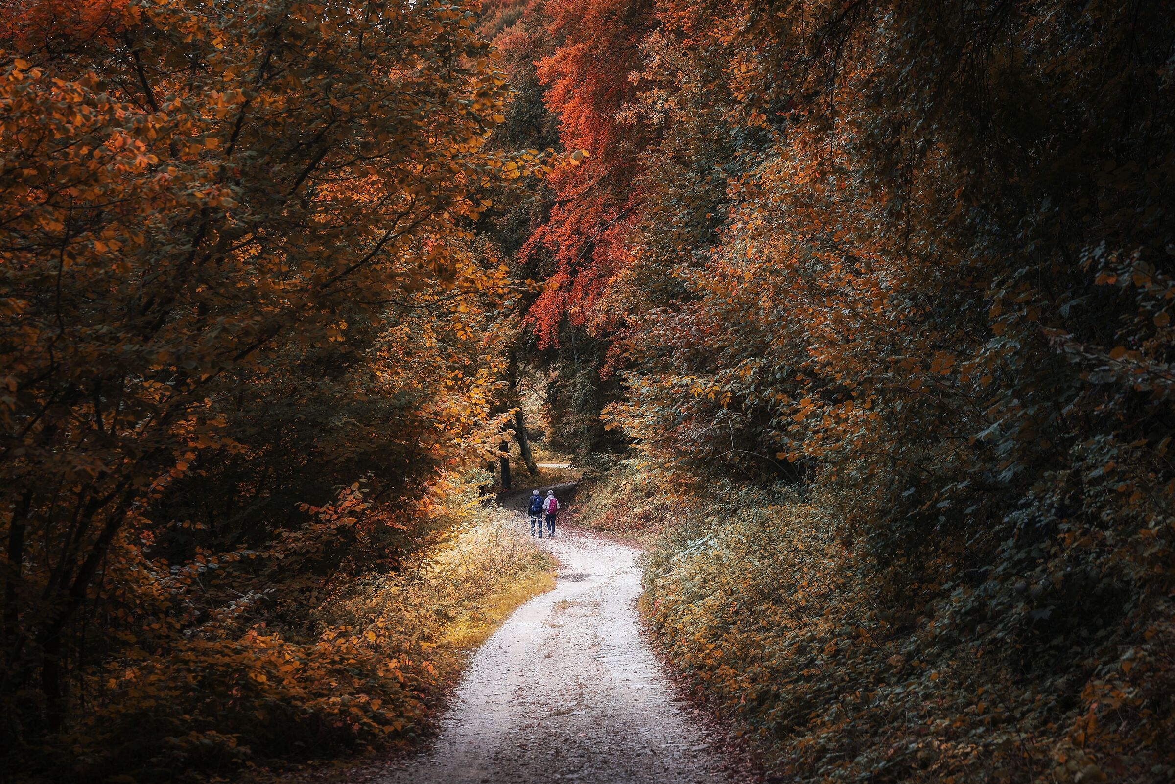 Walking in the Autumn Wonderland