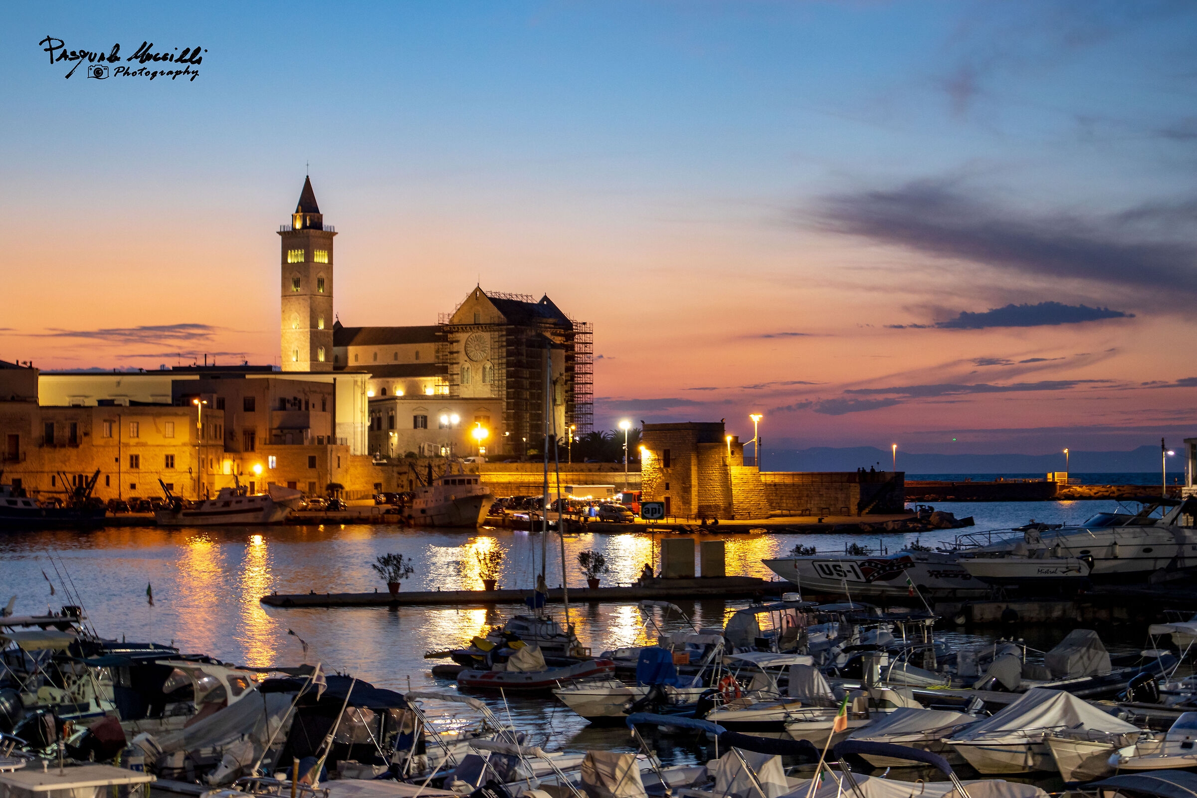 Trani from the Port