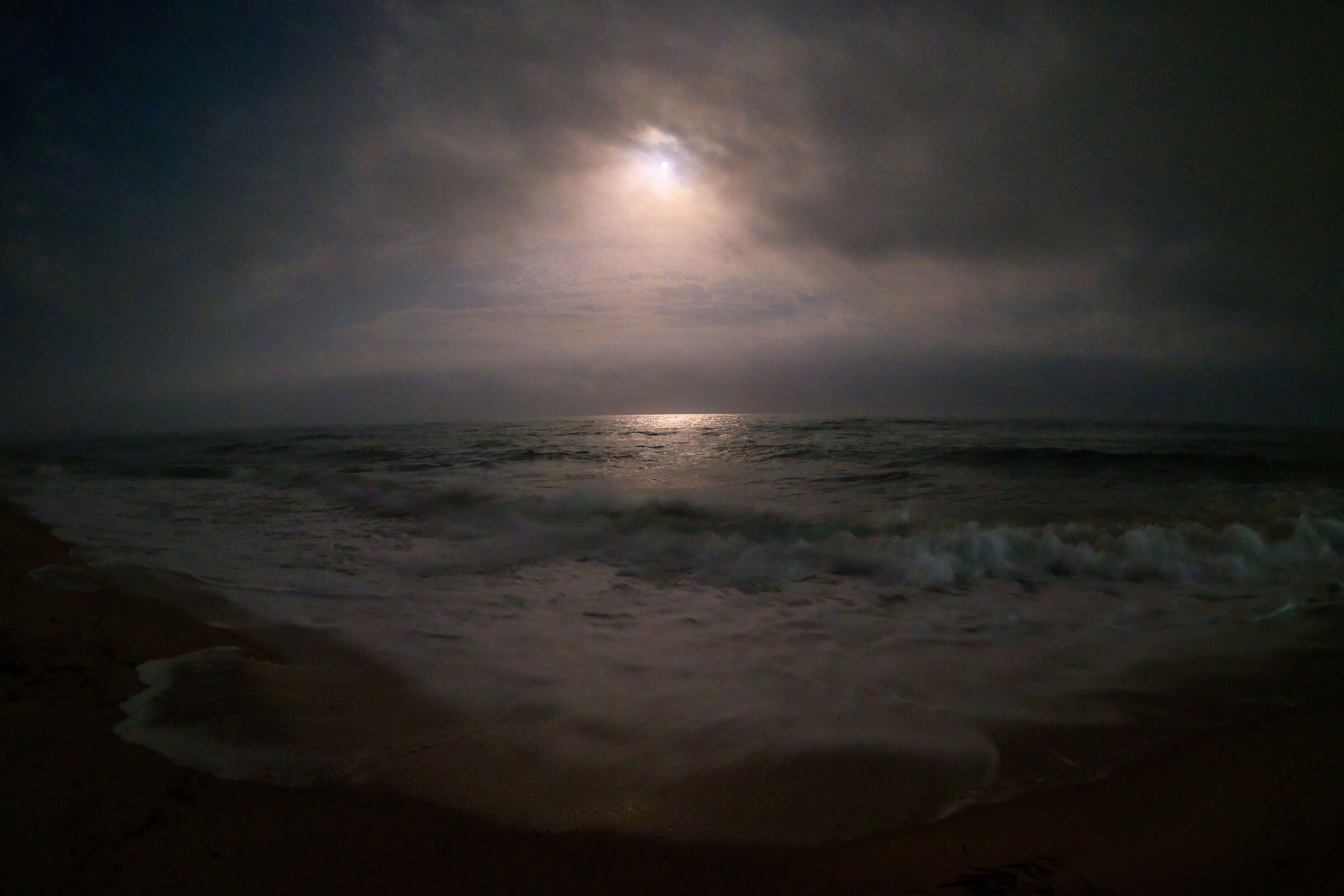 Al chiar di luna-Moonlight