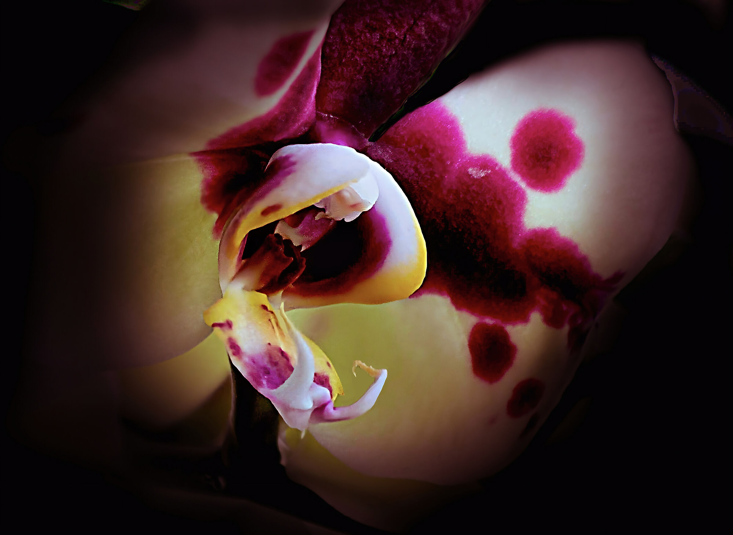 ... I'll eat you....